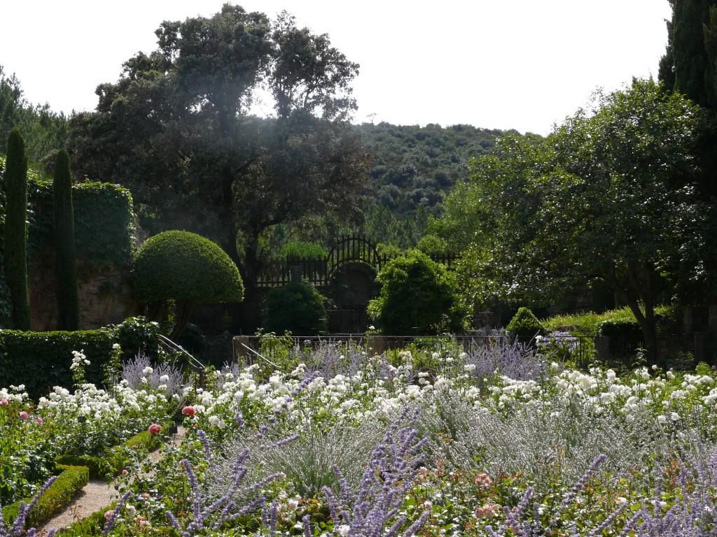 Rosengarten Fontfroide Languedoc