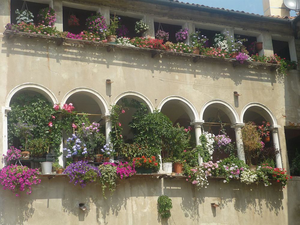 Pflanzen für den Balkon