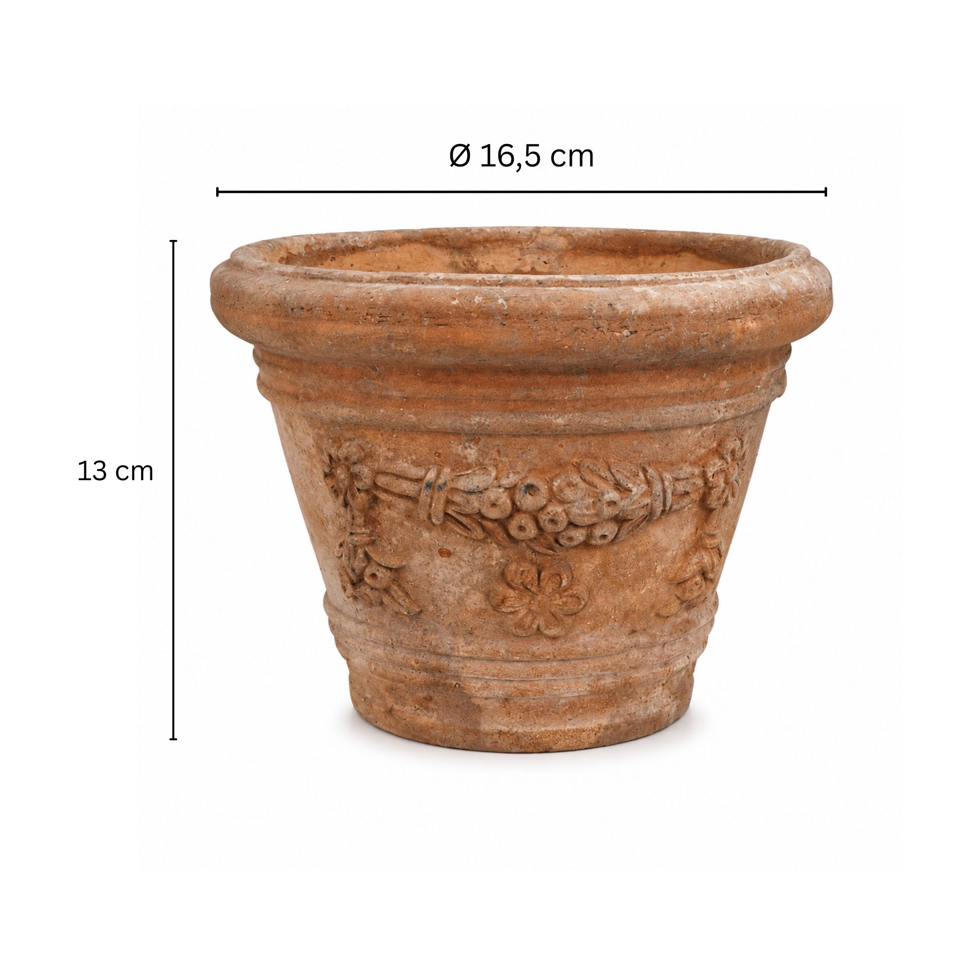 Olivenbaum Bonsai [Piccolino] in Terracotta-Topf "Etrusco Classico"
