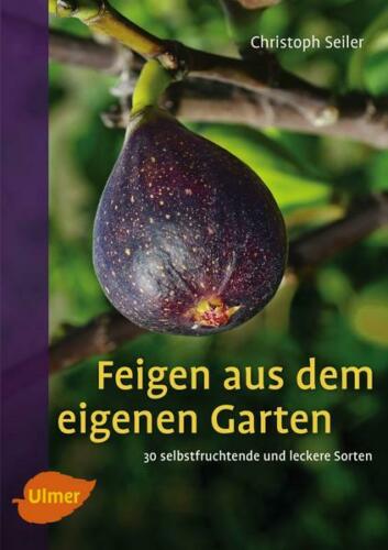 Feigen aus dem eigenen Garten 