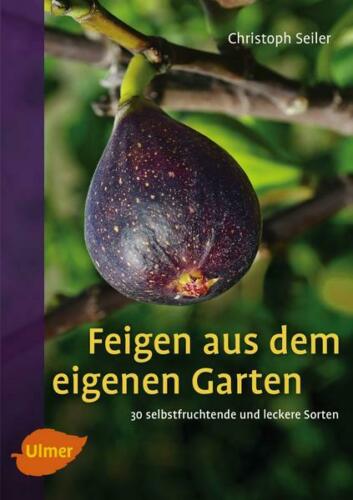 Feigen aus dem eigenen Garten Feigen aus dem eigenen Garten
