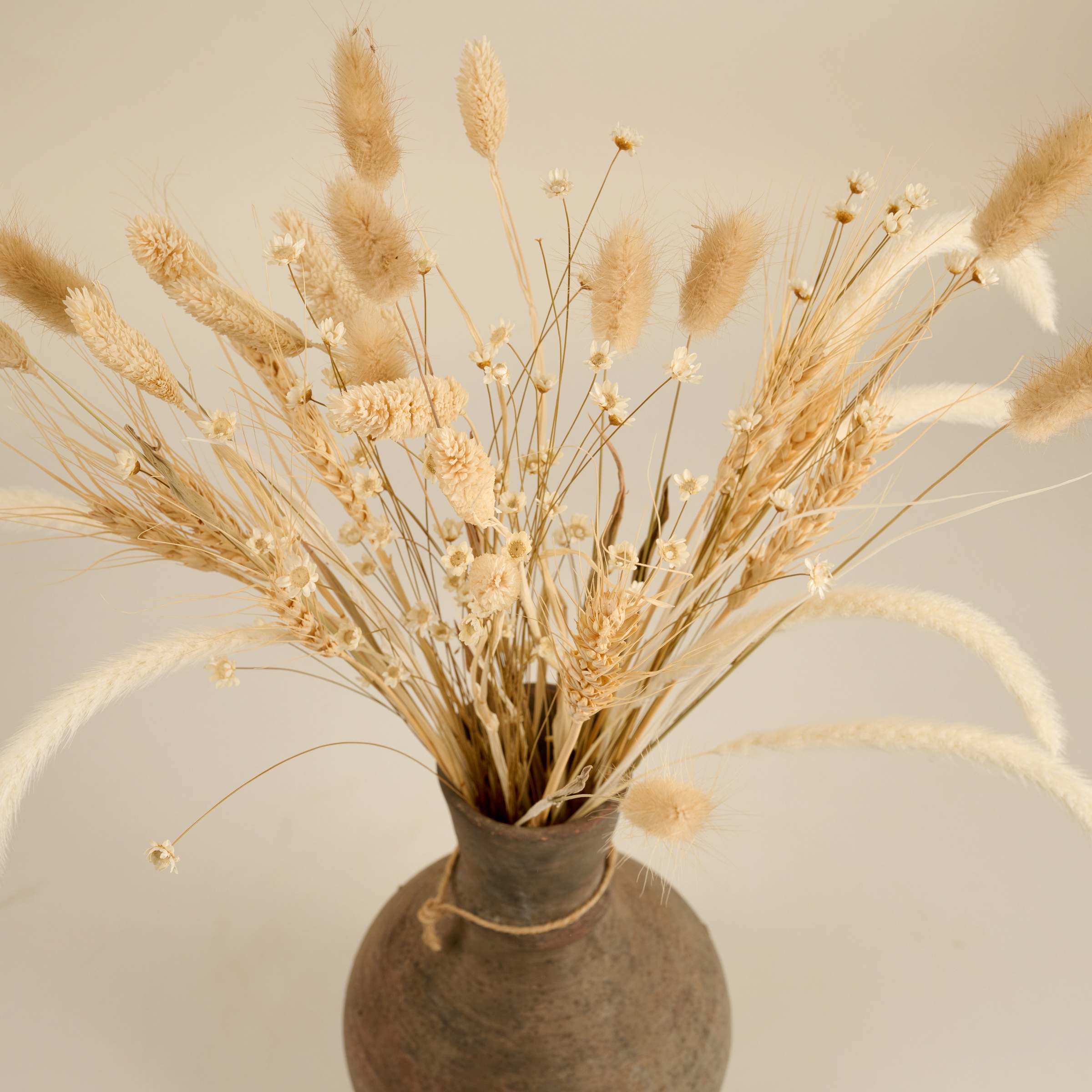 Trockenblumen und Pampasgras
