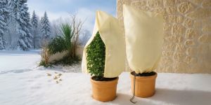 Winterschutz