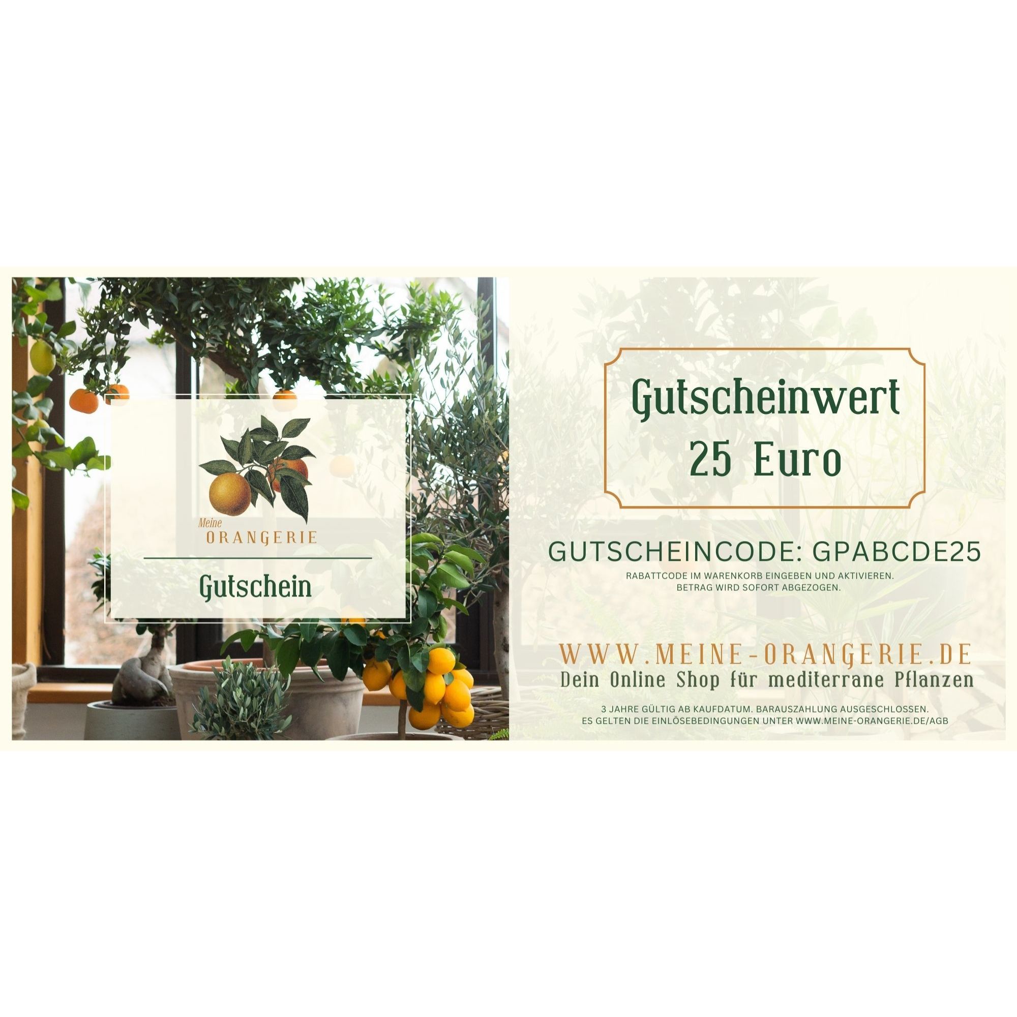 Gutschein Piccolo [25€] per E-Mail – zum Selbstausdrucken