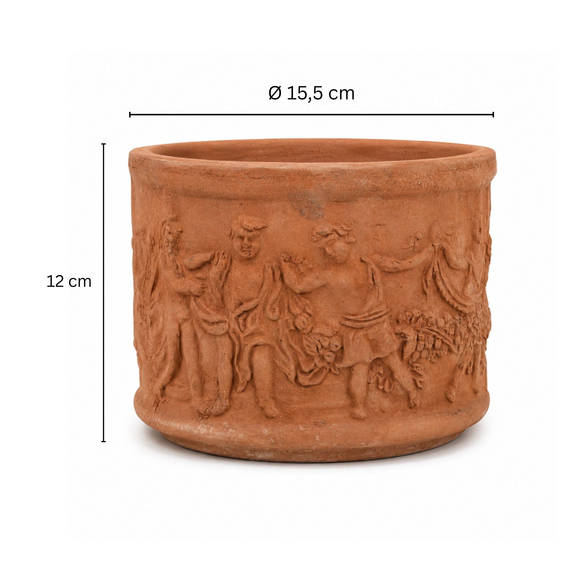 Weinrebe Bonsai [Piccolino] in Terracotta-Topf "Putti Alberello"