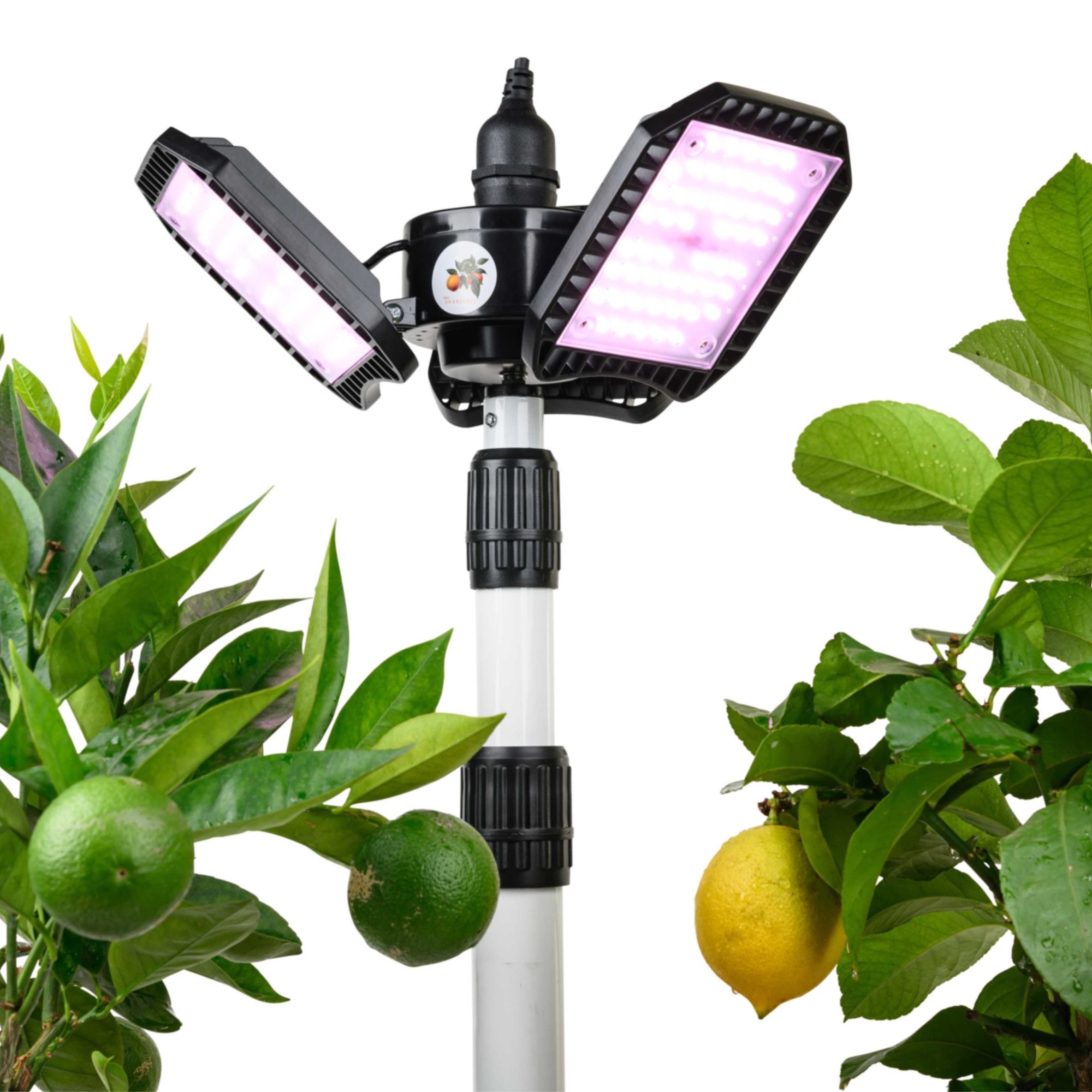 LED-Pflanzenlampe jetzt online entdecken