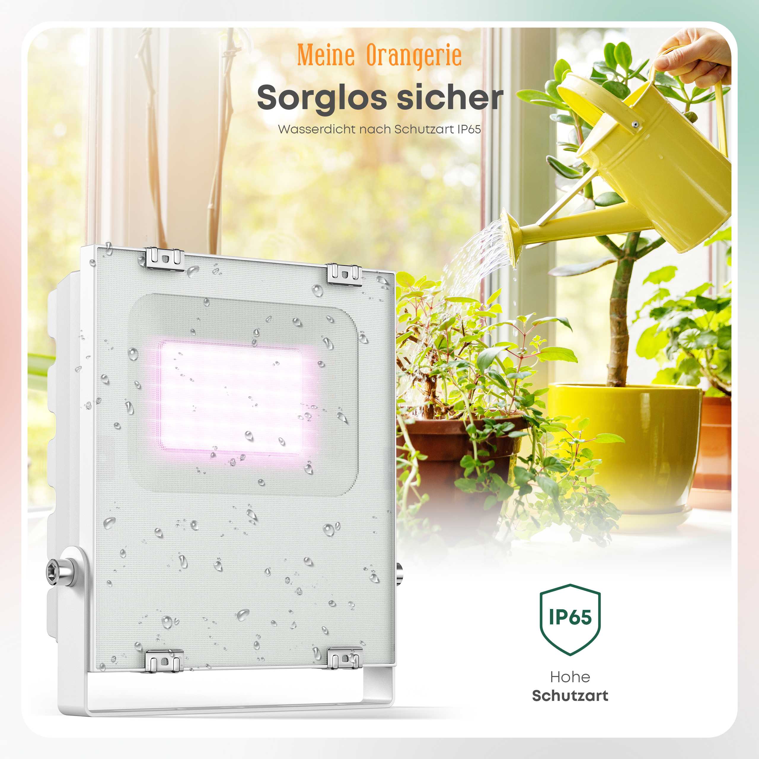 LED Pflanzenlampe 20W Überwinterung Bild 7 final