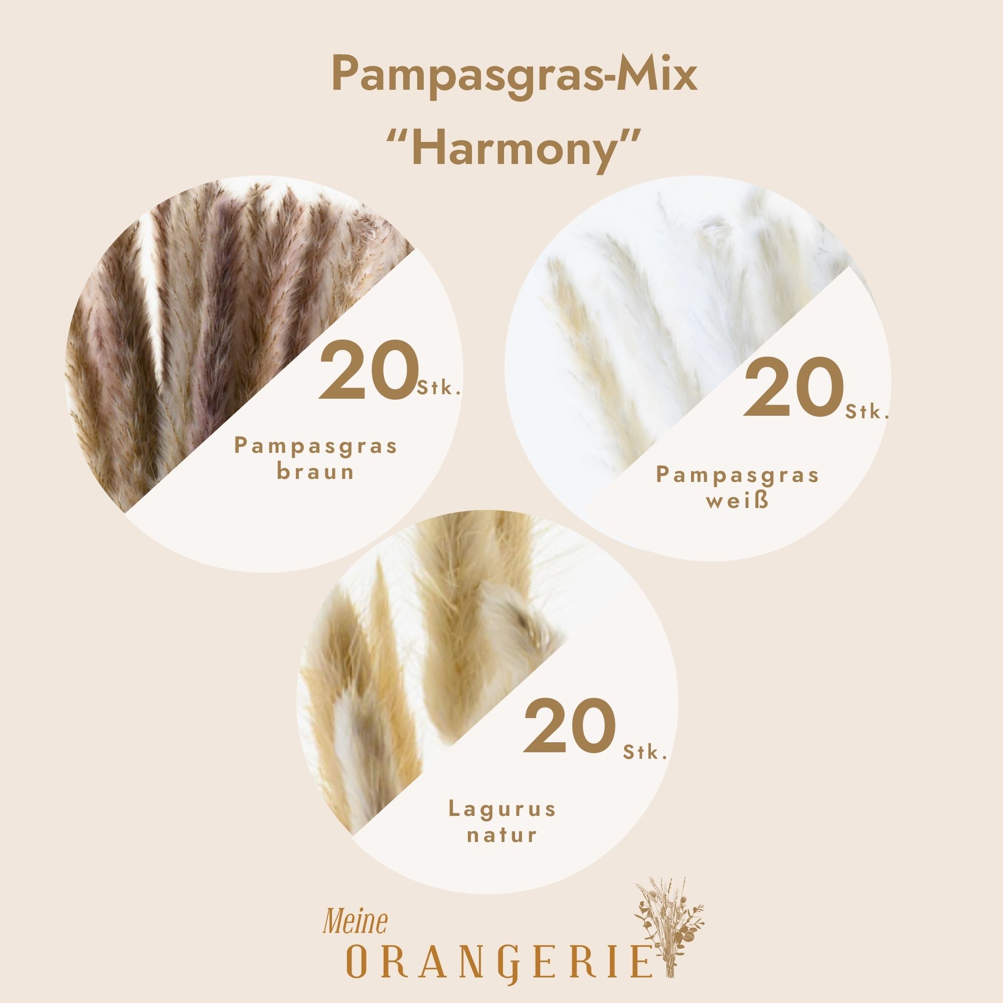Pampasgras-Mix "Harmony"