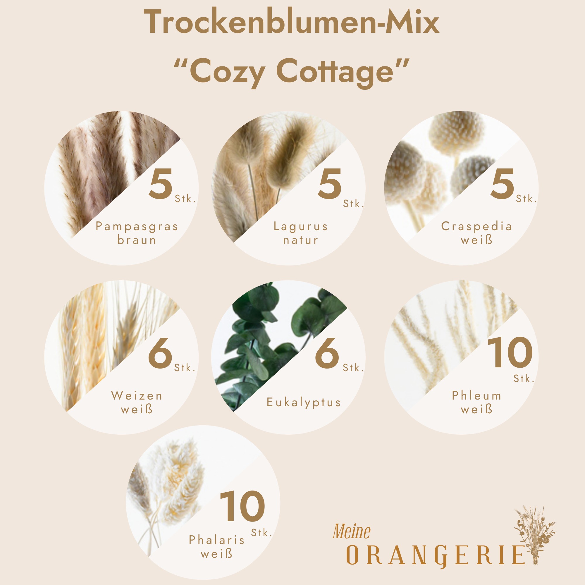 Trockenblumen-Mix "Cozy Cottage"