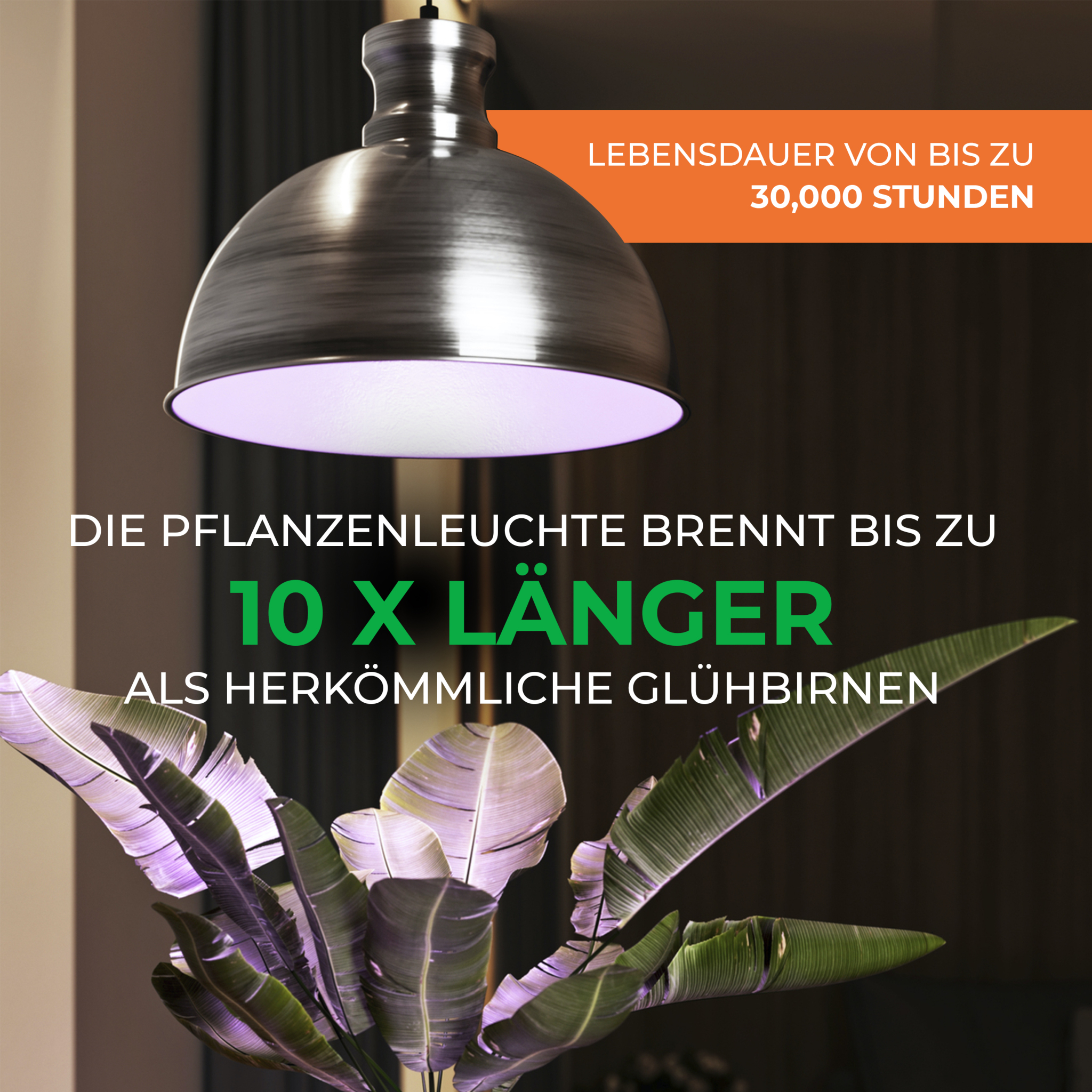 Pflanzenlampe - Florabooster [6,5W] ZINK - Hängeleuchte für die Pflanzenüberwinterung - Zusatzbeleuchtung