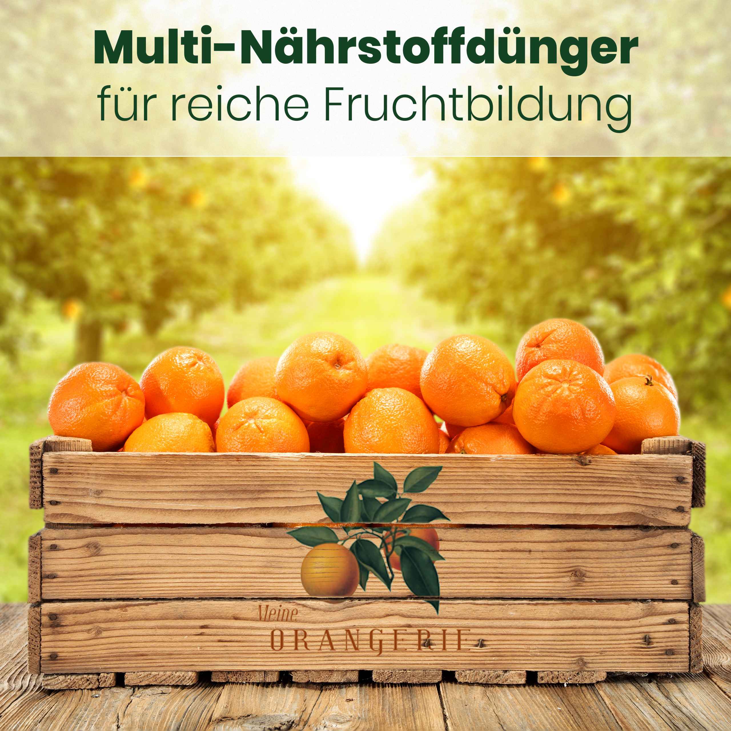 Citrus Umtopf-Paket [2x 10l Erde + 1kg Langzeitdünger]