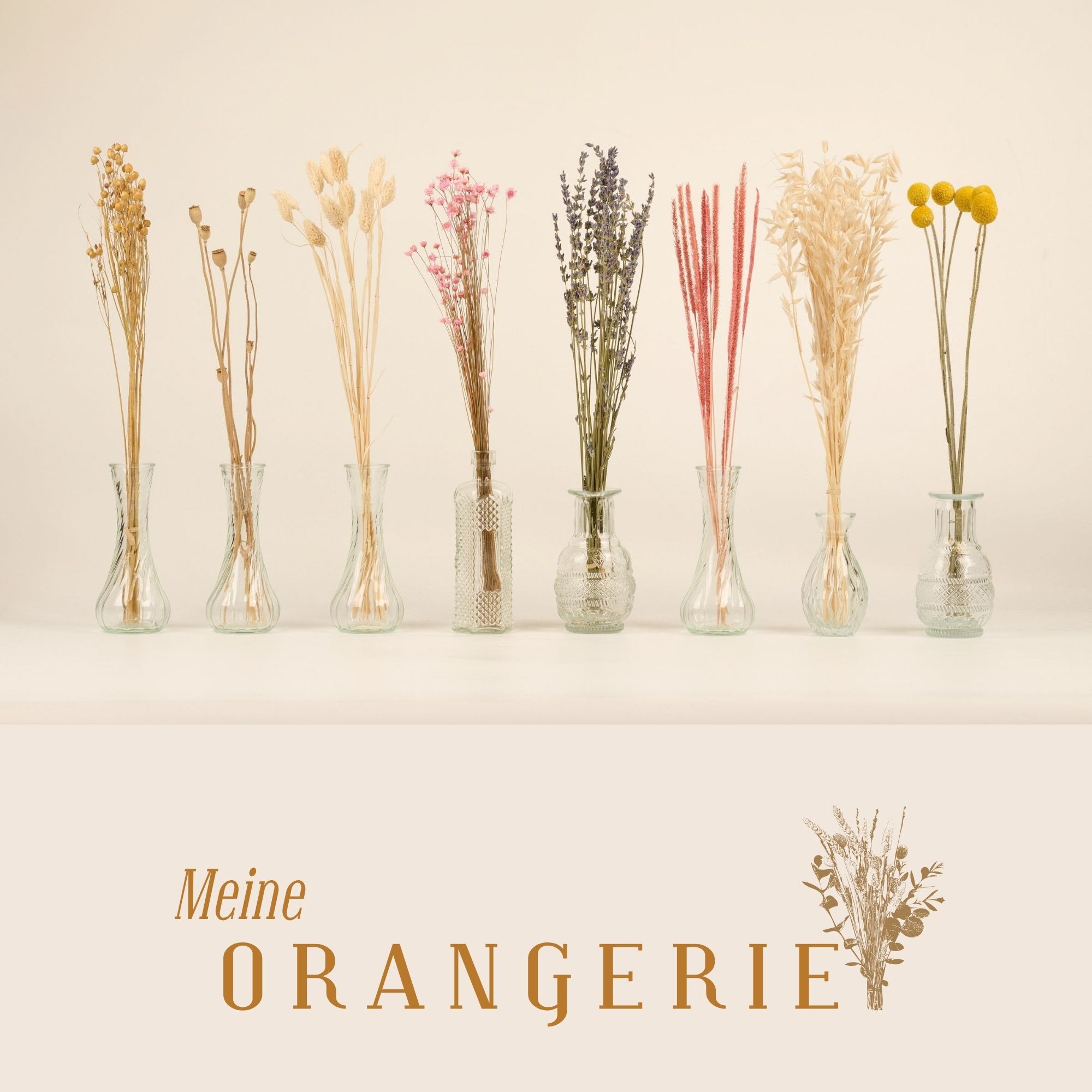 Sunshine Smile 120er Set Getrocknetes Pampasgras – Natürliche Trockenblumen Als Bodenvase & Strauß – Deko Für Wohnzimmer, Hochzeit & Party – Einfach Zuschneidbar Deko Pampasgras Hochzeit