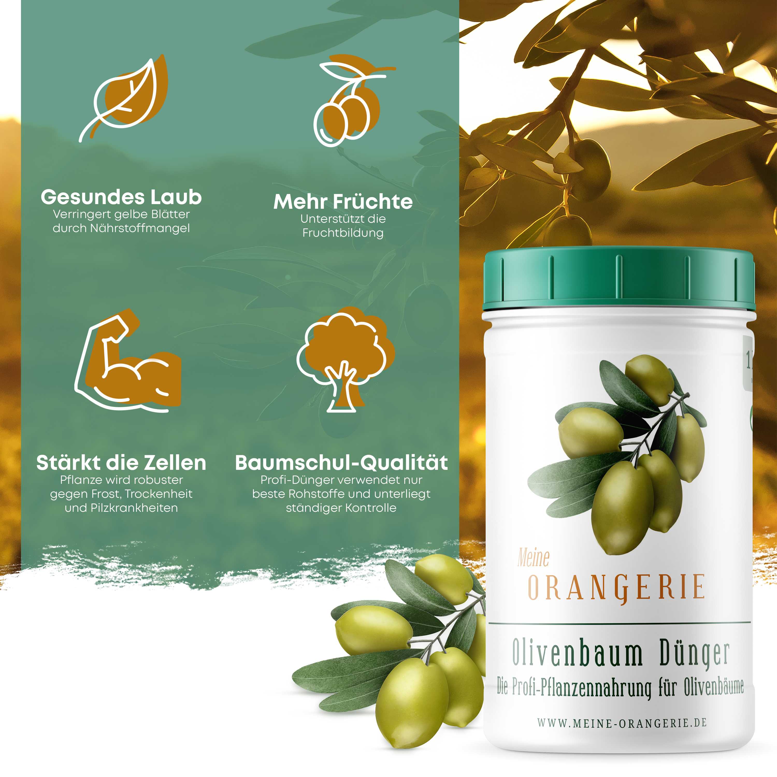 Meine Orangerie Olivendünger [1kg] - Premium Pflanzendünger für Olivenbäume