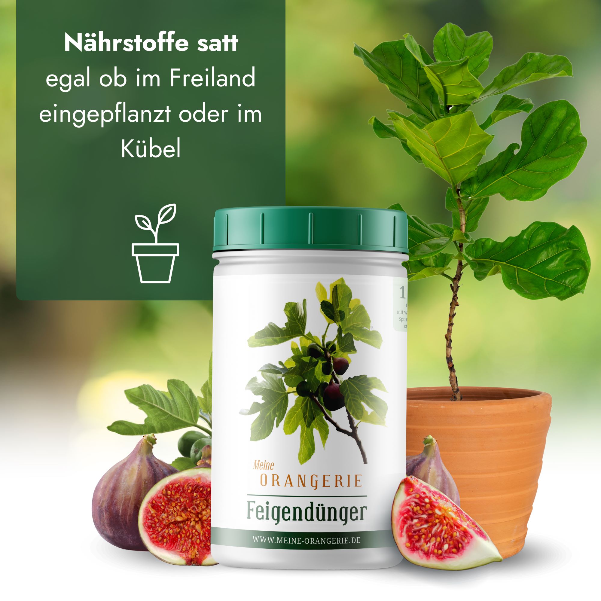 Meine Orangerie Feigendünger [1kg] - Premium Pflanzendünger für Feigenbäume