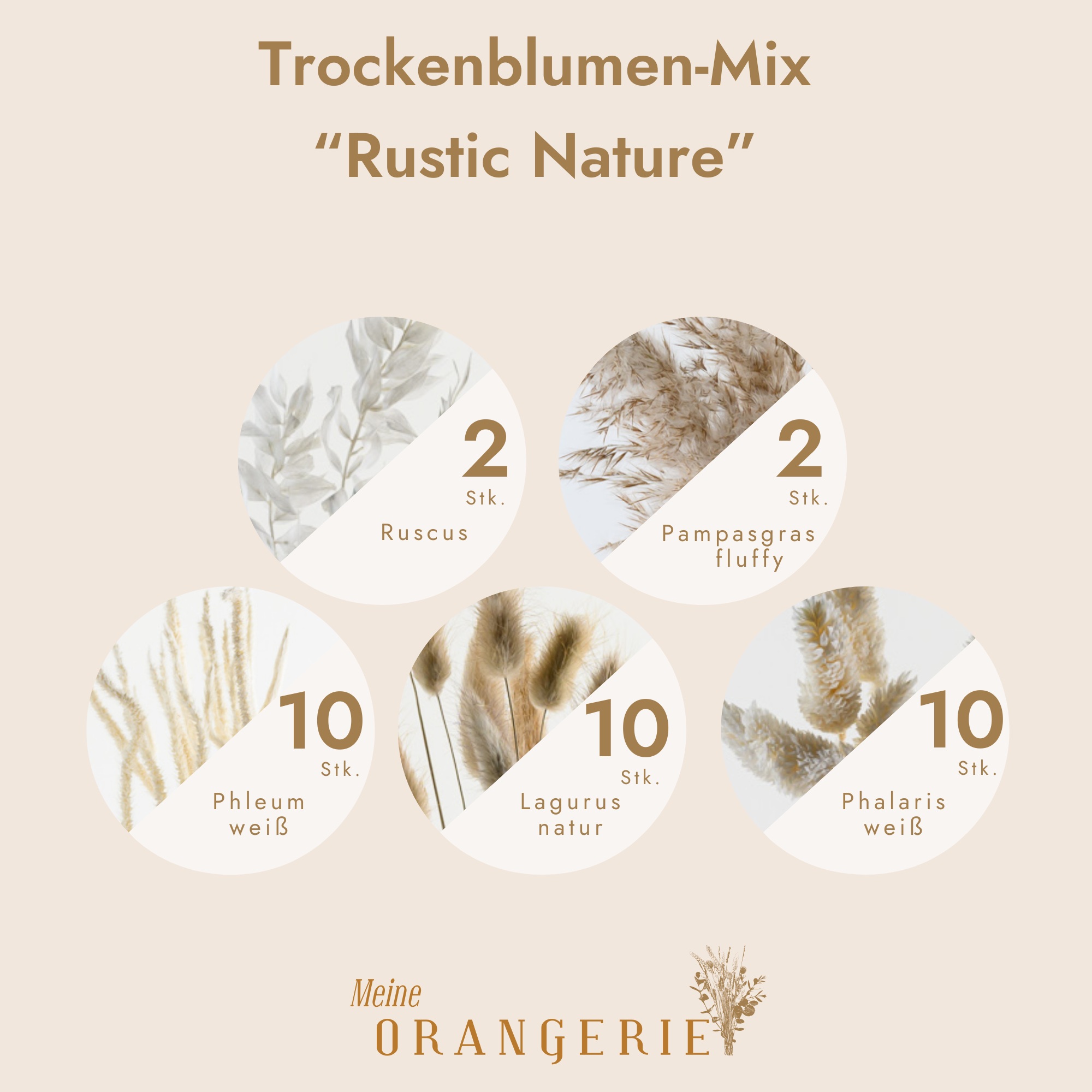 Trockenblumen-Mix "Rustic Nature"