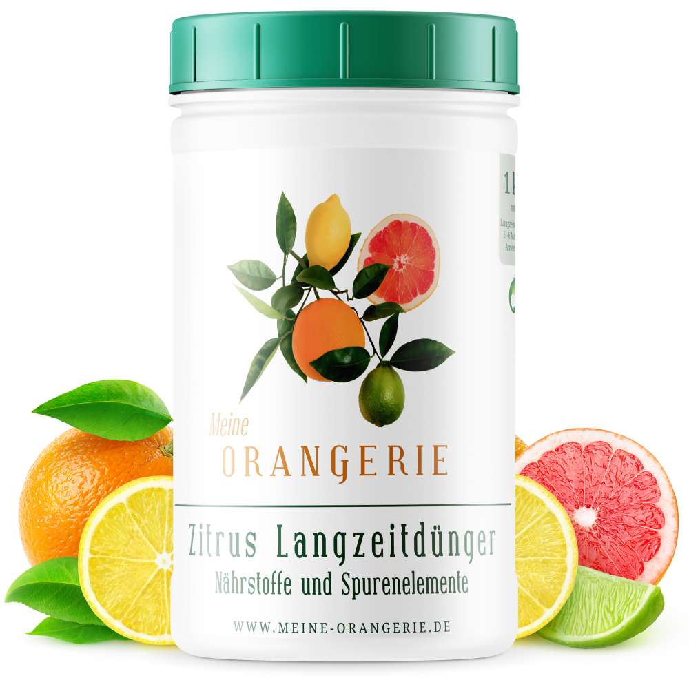 Citrus Pflegepaket Grande - Pflegeset für Zitruspflanzen