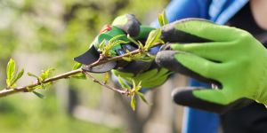 Gartenwerkzeuge