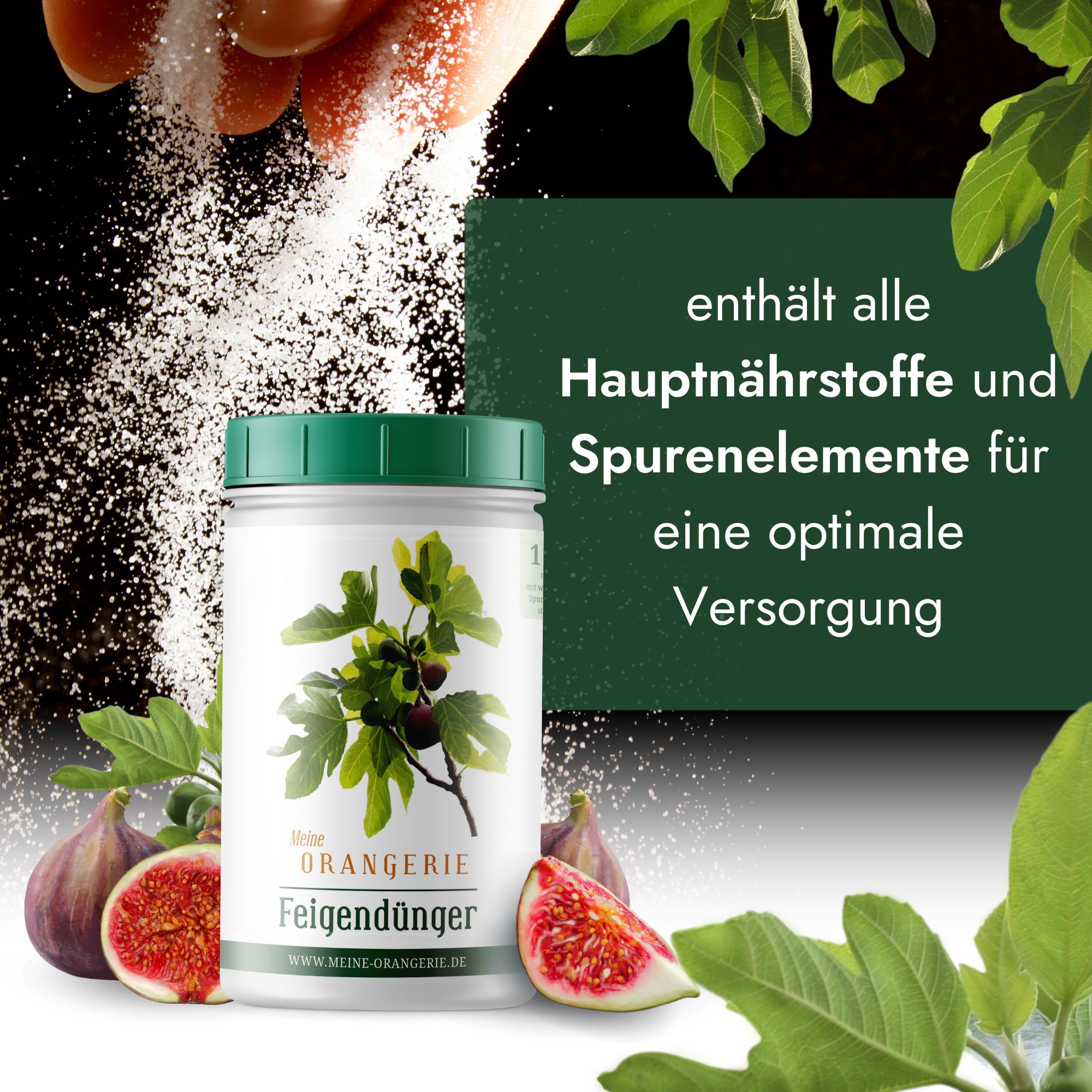 Meine Orangerie Feigendünger [1kg] - Premium Pflanzendünger für Feigenbäume