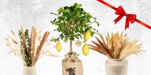 Geschenke
