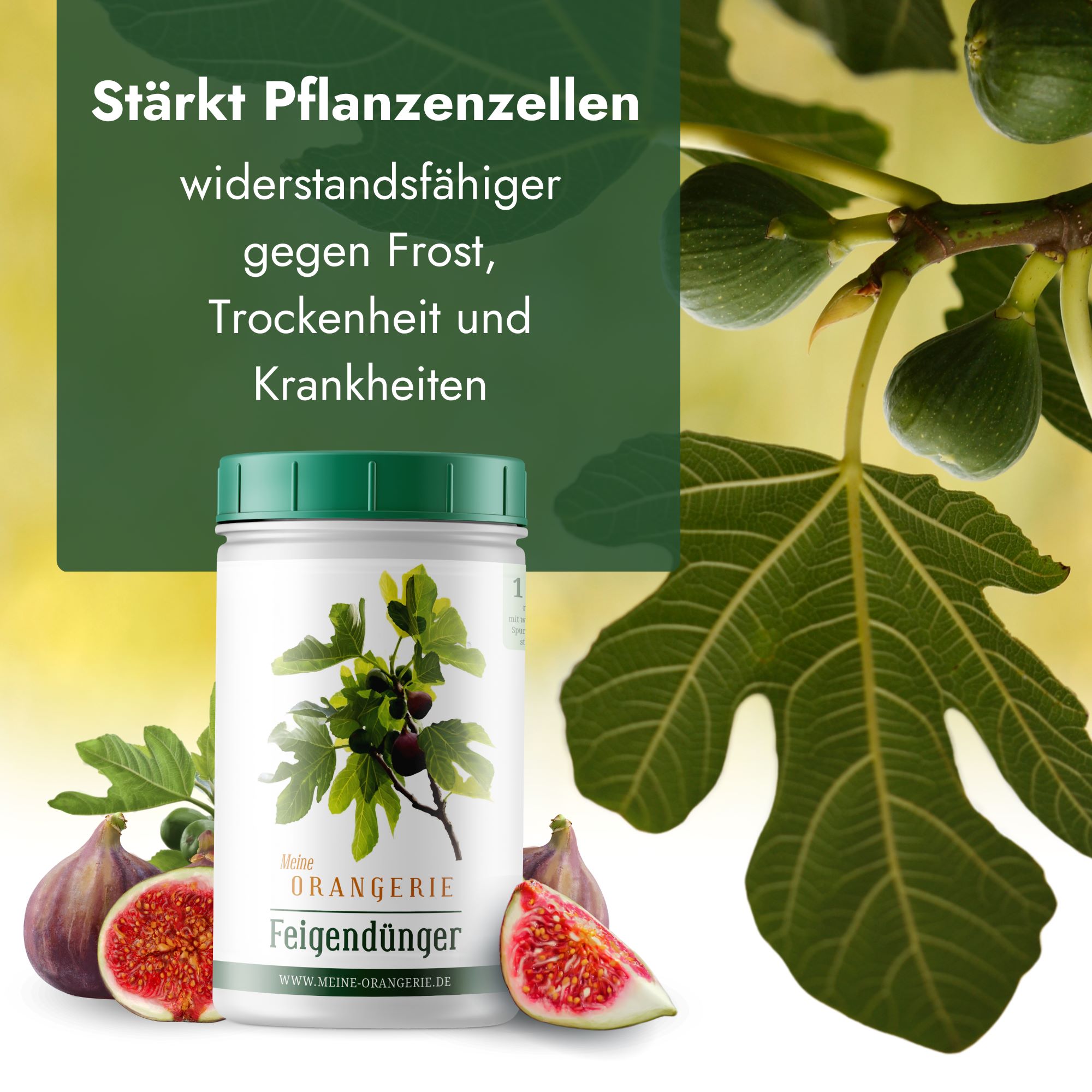 Meine Orangerie Feigendünger [1kg] - Premium Pflanzendünger für Feigenbäume