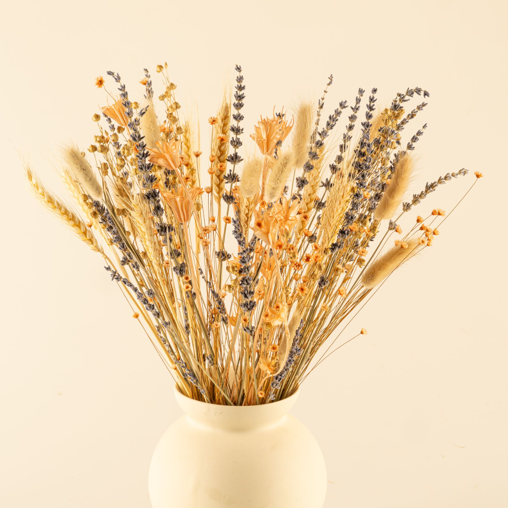 Trockenblumen-Mix "Dream of Provence"