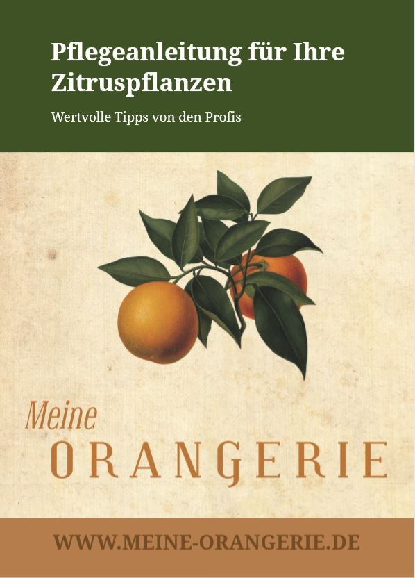 Citrus Pflegepaket Grande - Pflegeset für Zitruspflanzen