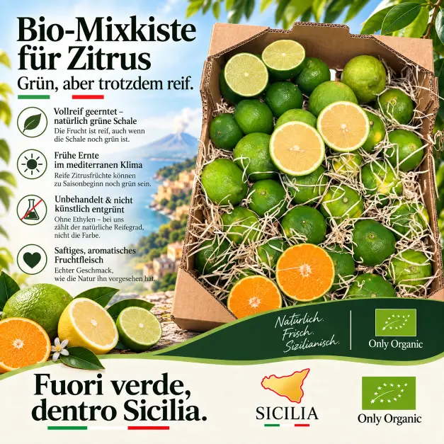 Sizilianischer Citrus Mix - Obstkiste - Bio Citrus Mix - Satsumas Miyagawa, Zitronen, Limetten
