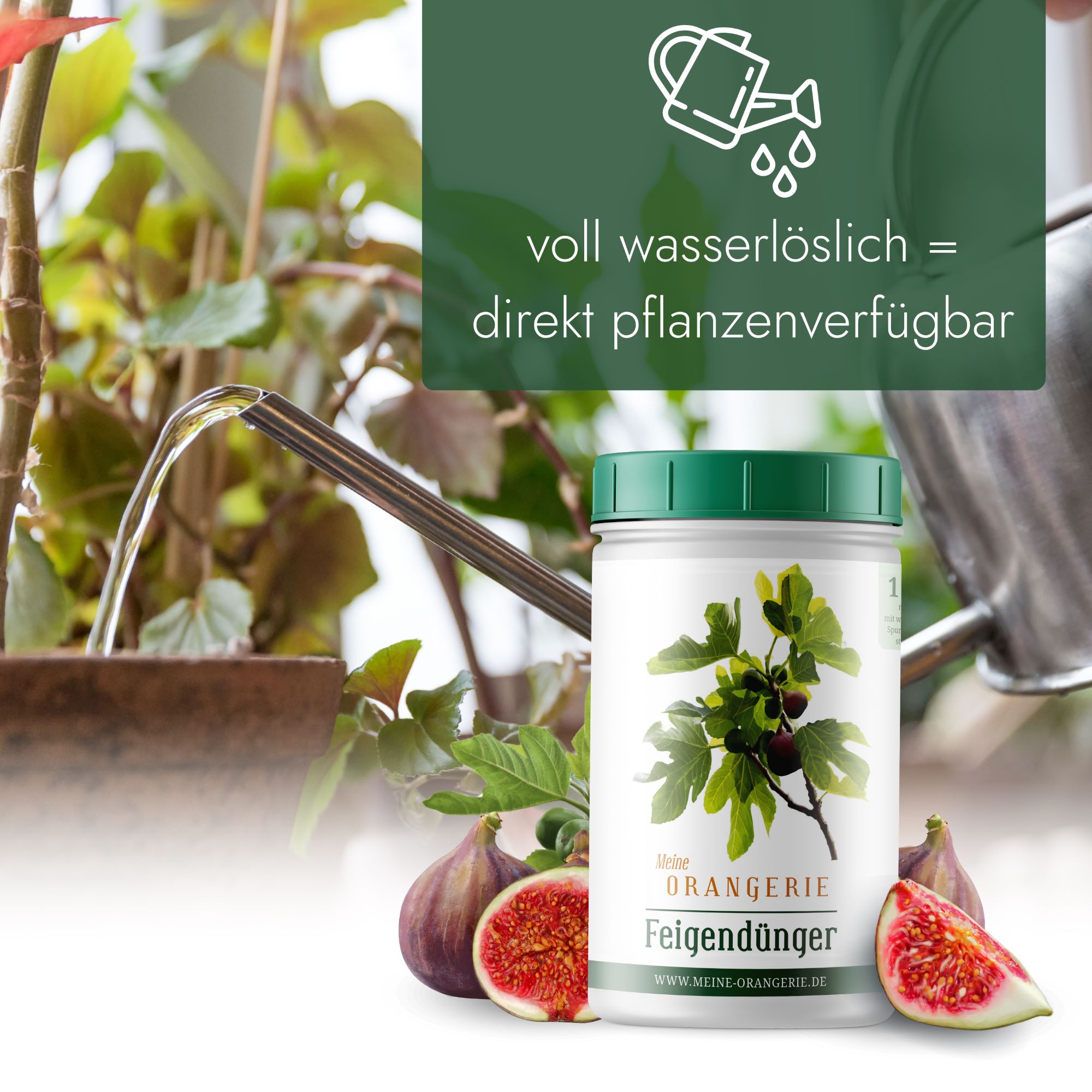 Meine Orangerie Feigendünger [1kg] - Premium Pflanzendünger für Feigenbäume