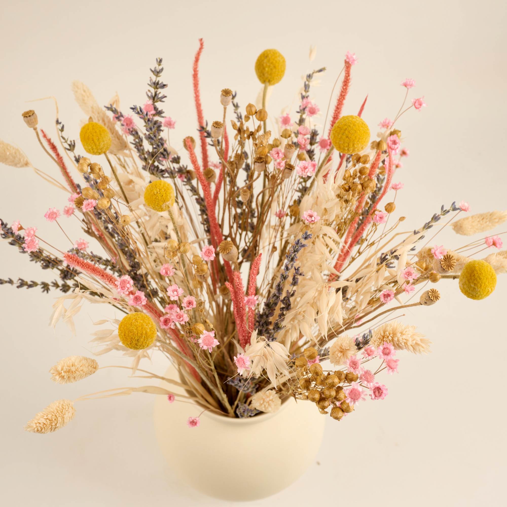 Trockenblumen und Pampasgras
