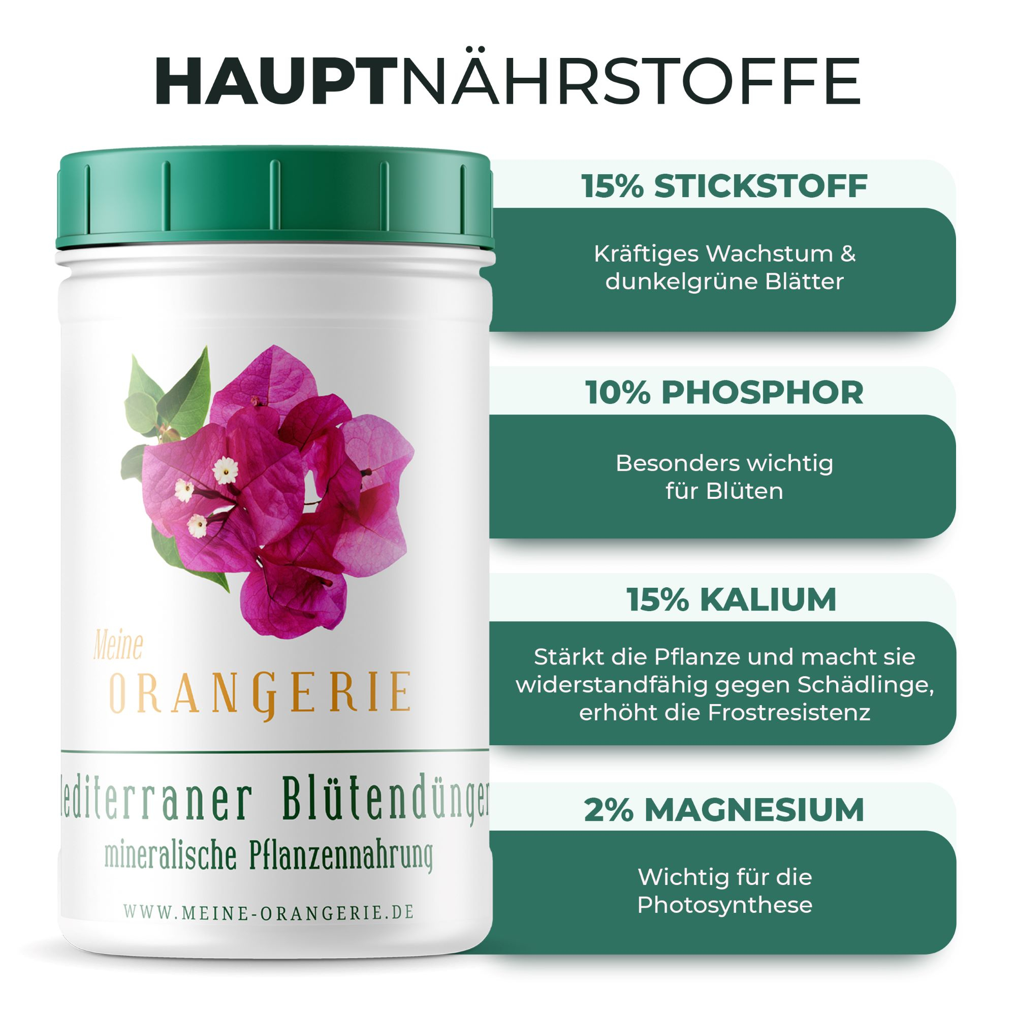 Shopbild