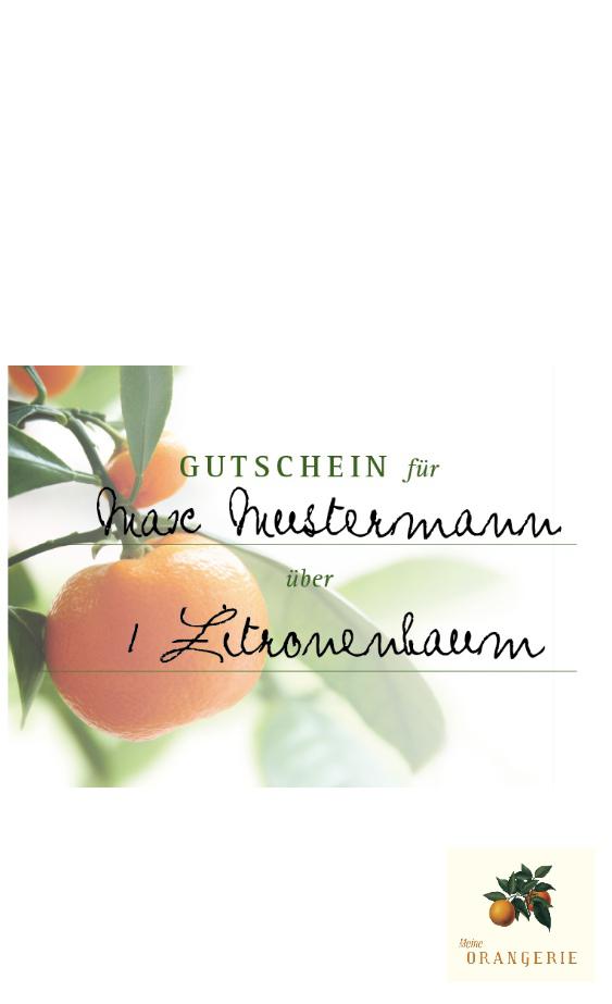 Gutschein [Molto Grande] [160€]