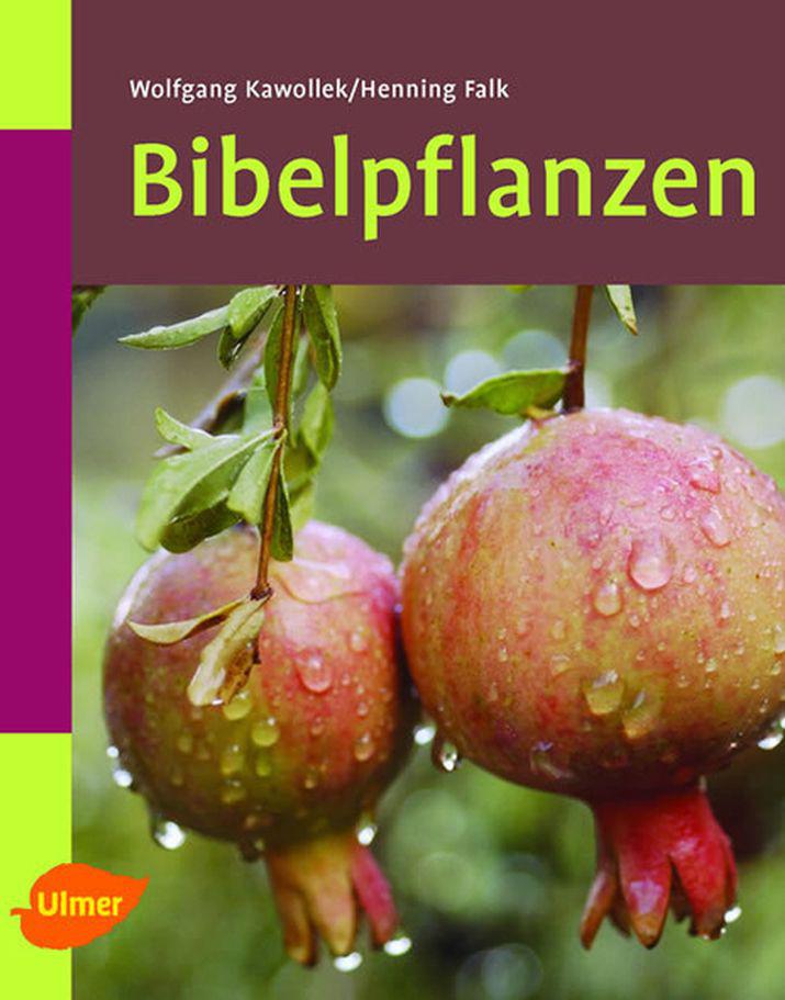 Die Bibelpflanzen