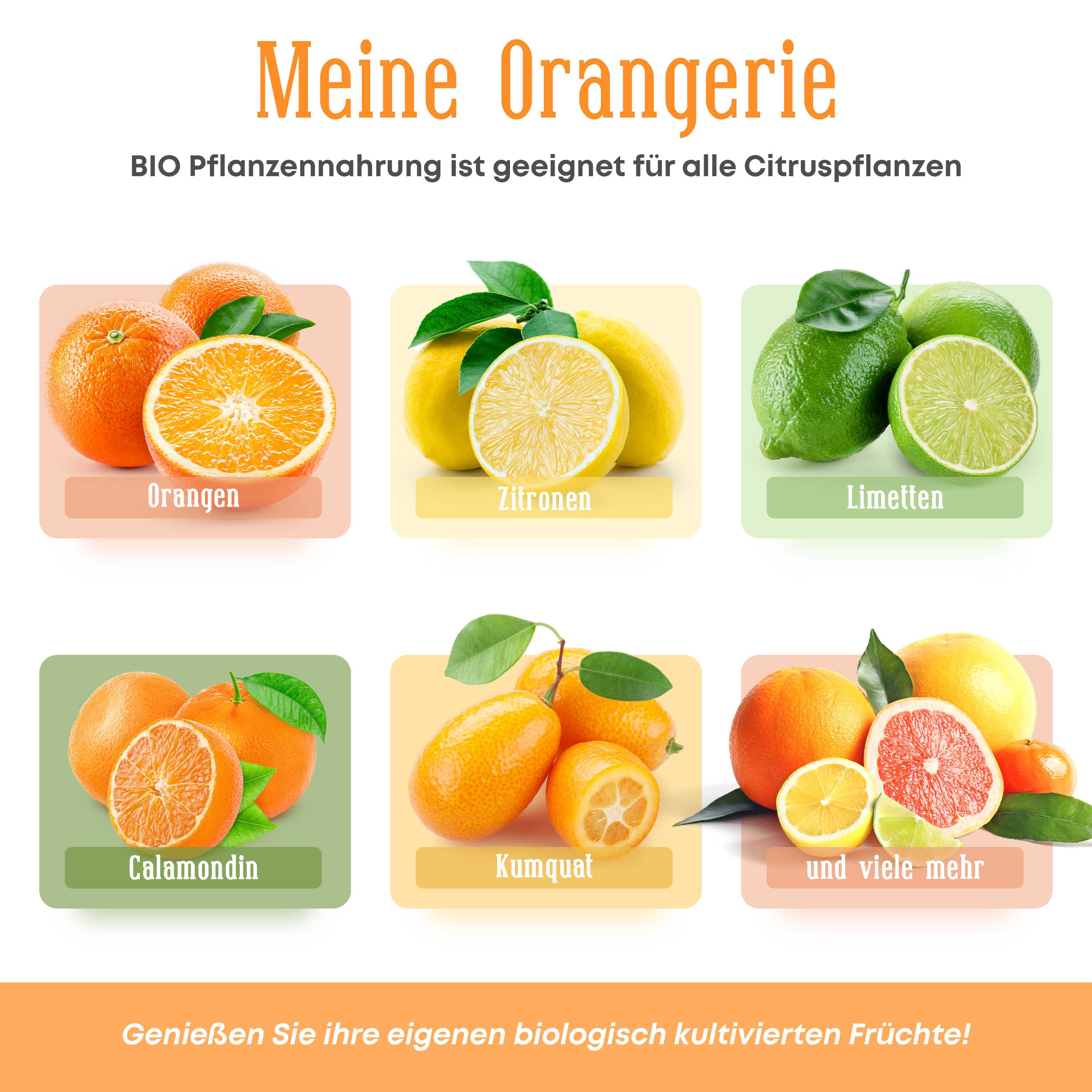 Meine Orangerie - BIO-Pflanzennahrung - veganer Flüssigdünger für mediterrane Pflanzen