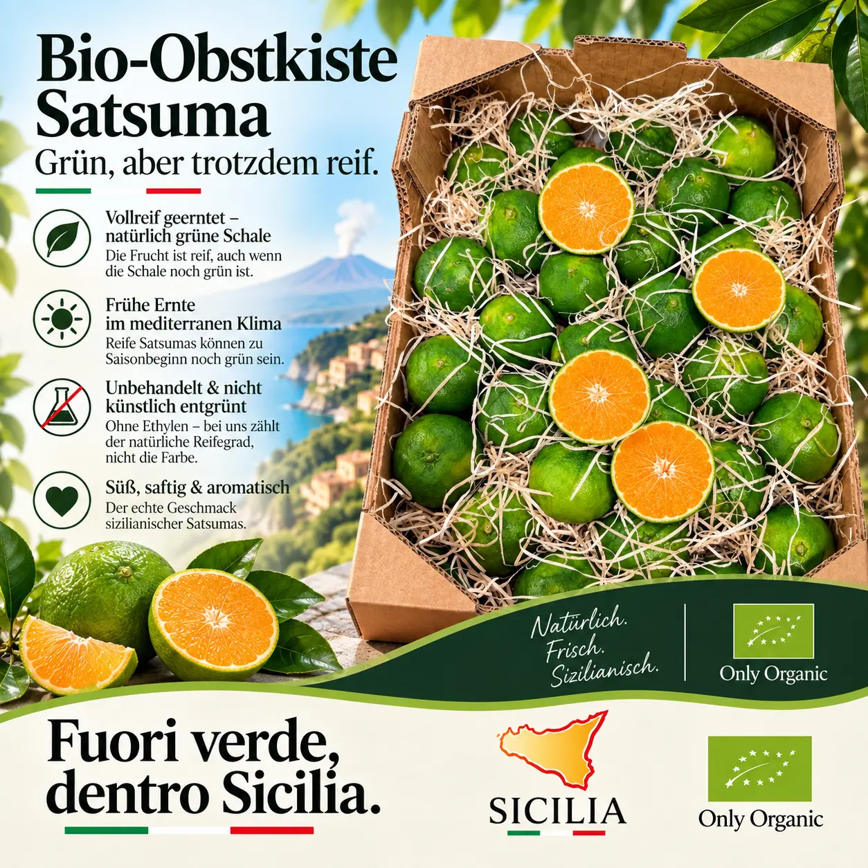Sizilianische Satsumas Miyagawa - Bio Obstkiste - Bio Satsumas Miyagawa