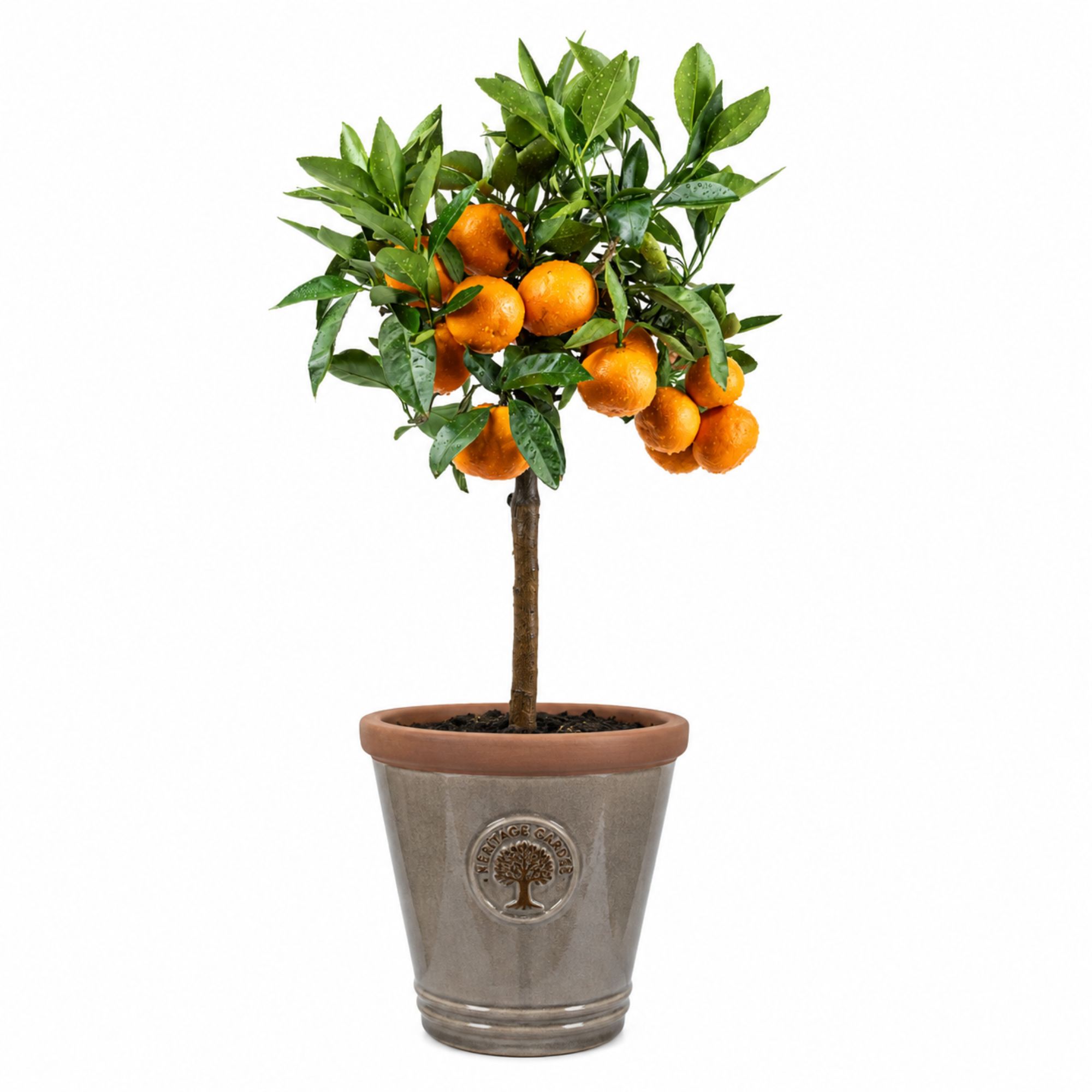 Terrakotta Pflanztopf - glasierter Blumentopf - Taupe