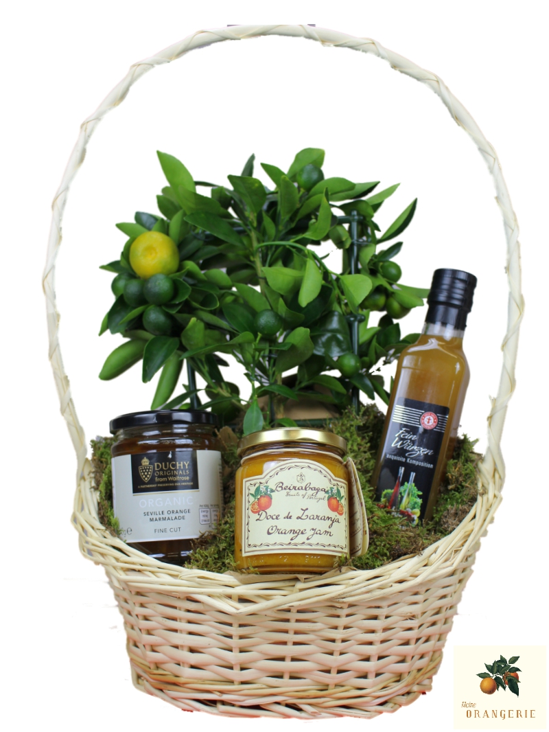 Geschenkkorb "Olive"