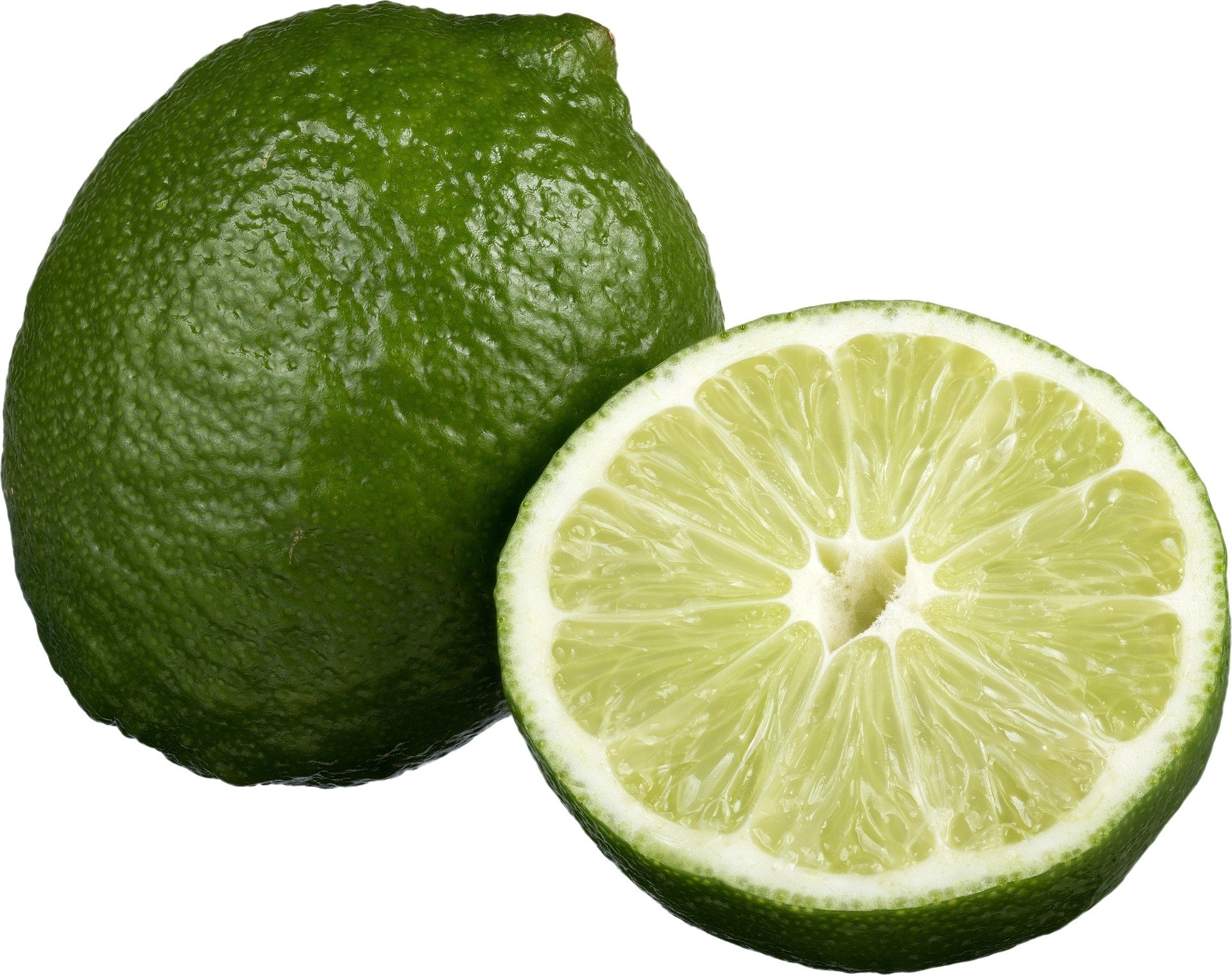 Tahiti Limette [Grande] - Persische Limette - Citrus Latifolia