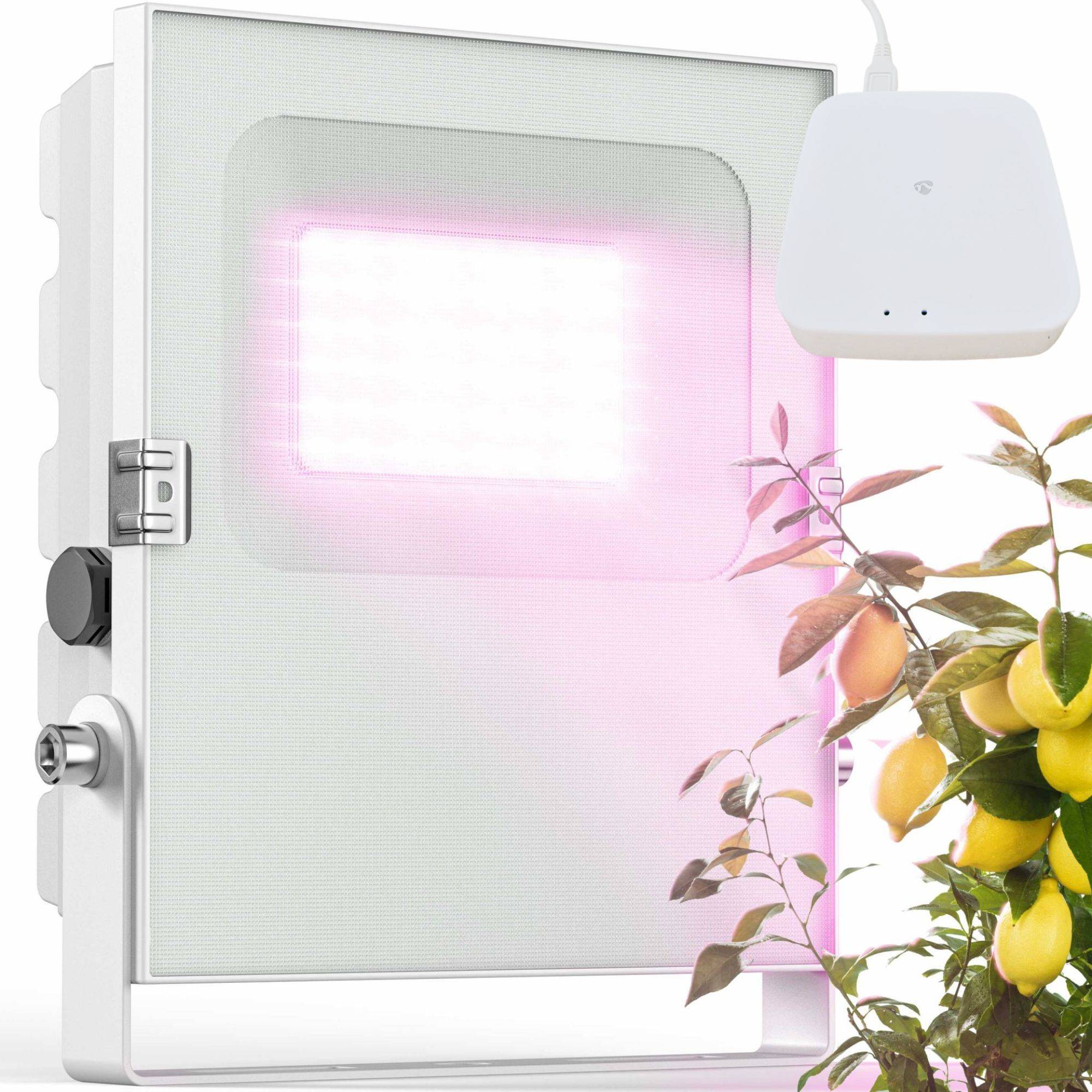 SET: 1x Pflanzenlampe 'Zigbee' + 1x Zigbee Gateway SET: 1x Pflanzenlampe 'Zigbee' + 1x Zigbee Gateway