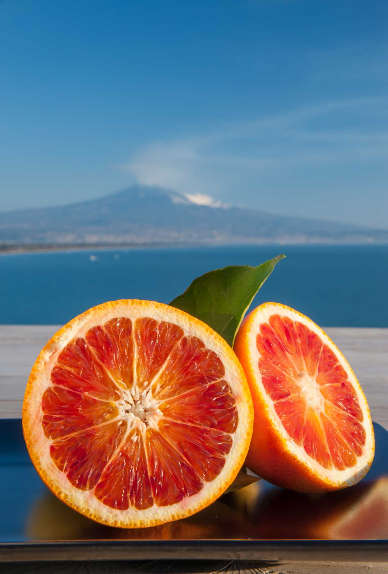 Blutorangenbaum Tarocco [Mezzo] - Citrus Sinensis 'Tarocco'
