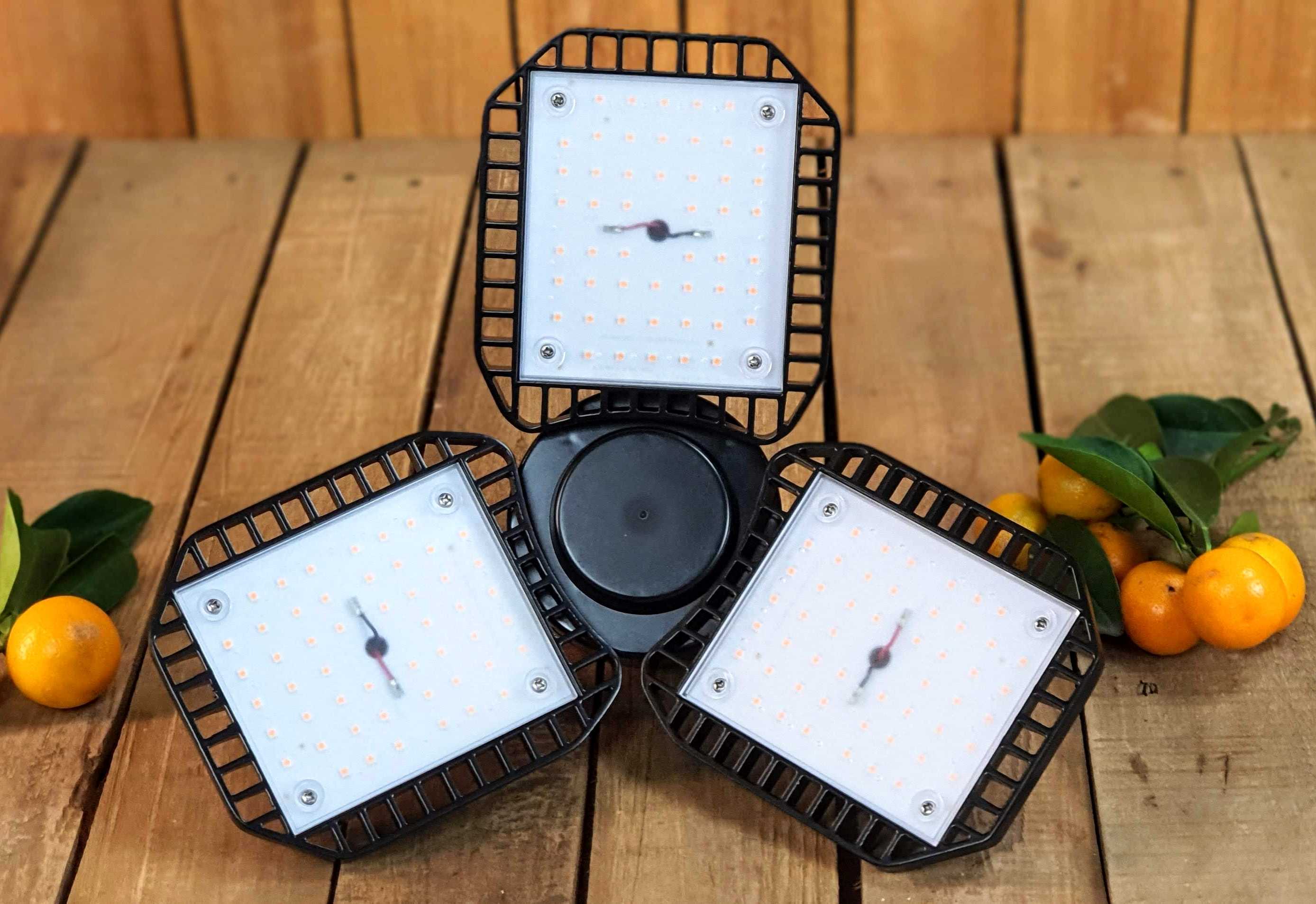 LED-Pflanzenlampe [100W] E27 Vollspektrum: Zitruspflanzen-Überwinterung