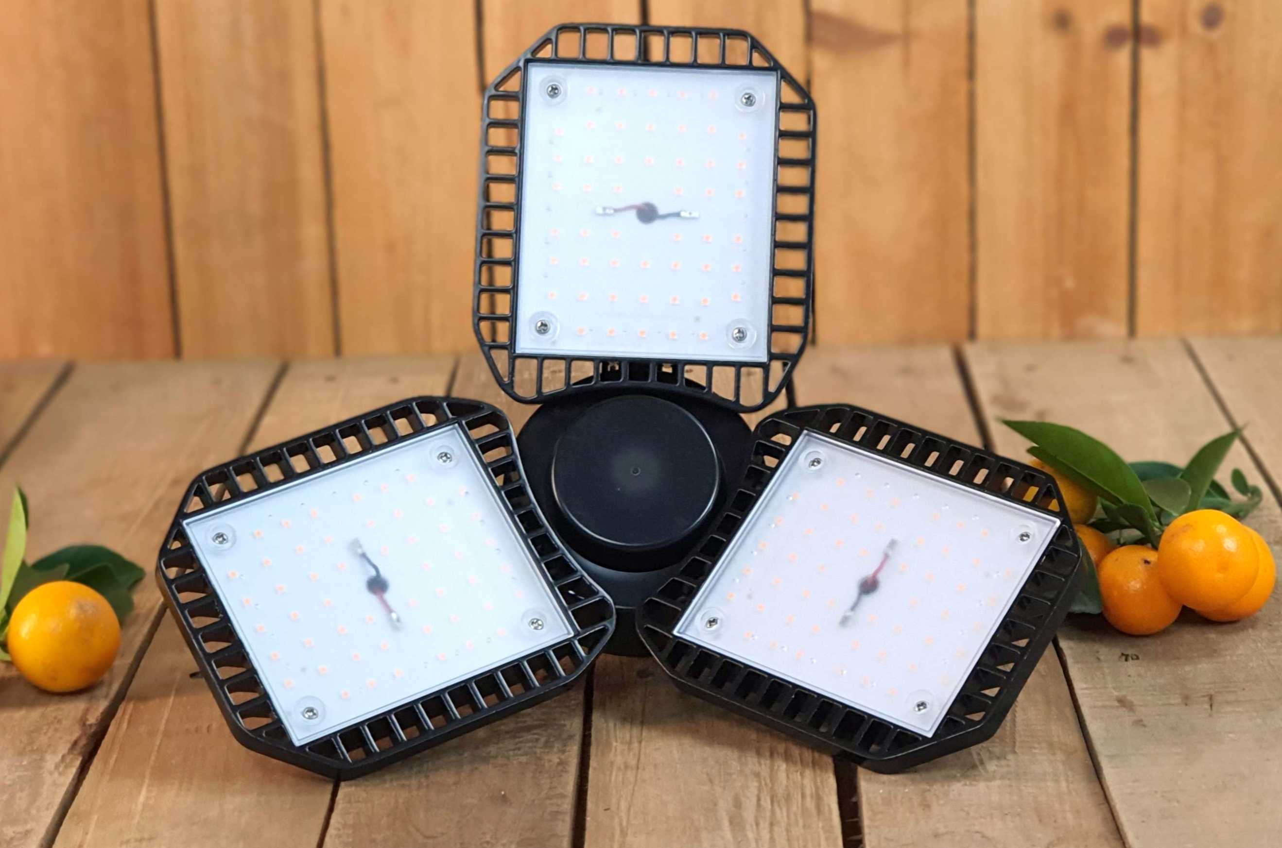 LED-Pflanzenlampe [100W] E27 Vollspektrum: Zitruspflanzen-Überwinterung
