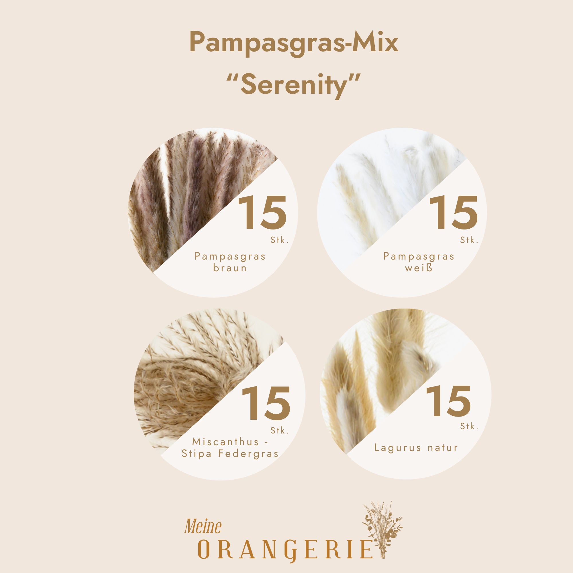 Pampasgras-Mix "Serenity"