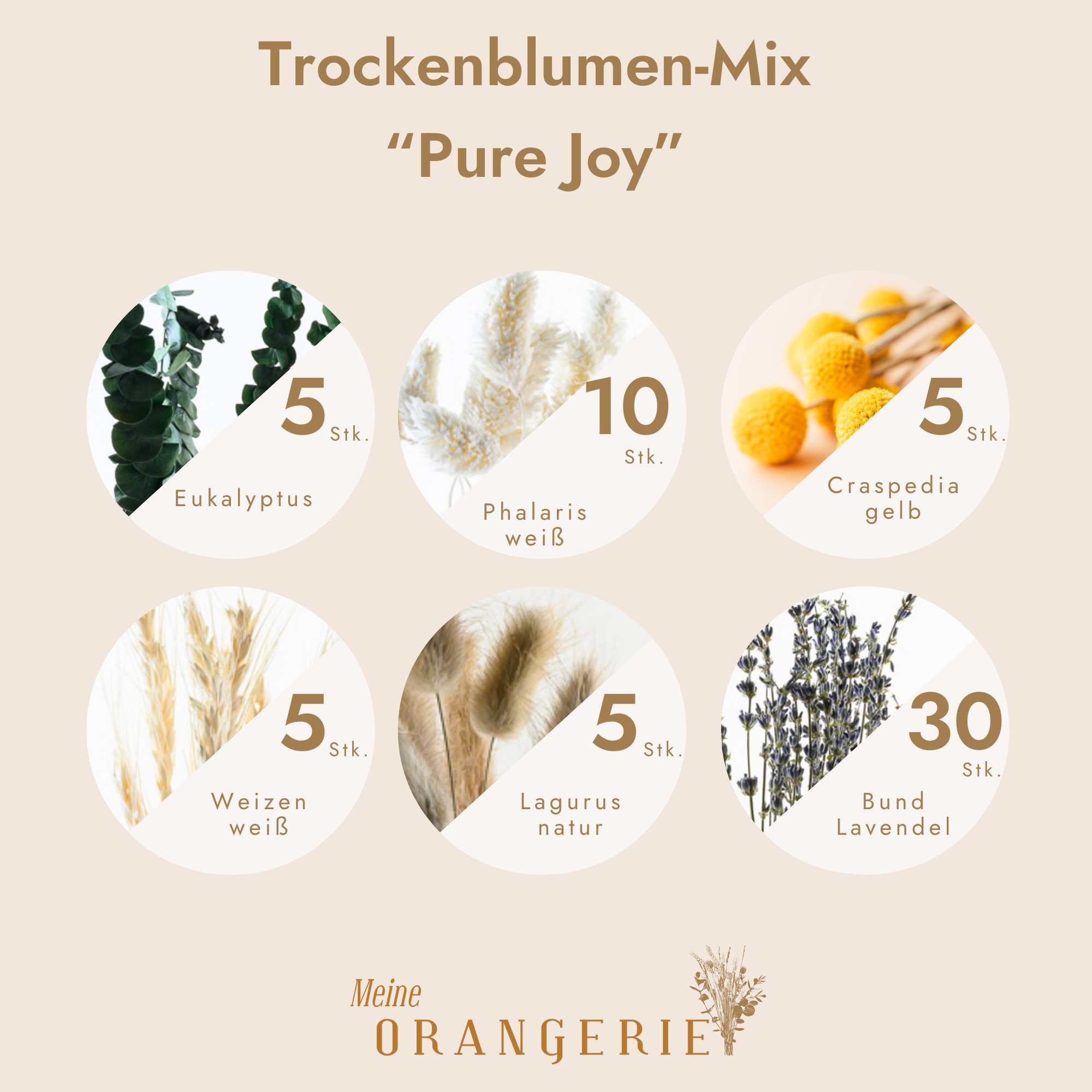 Trockenblumen-Mix "Pure Joy"