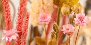 Trockenblumen