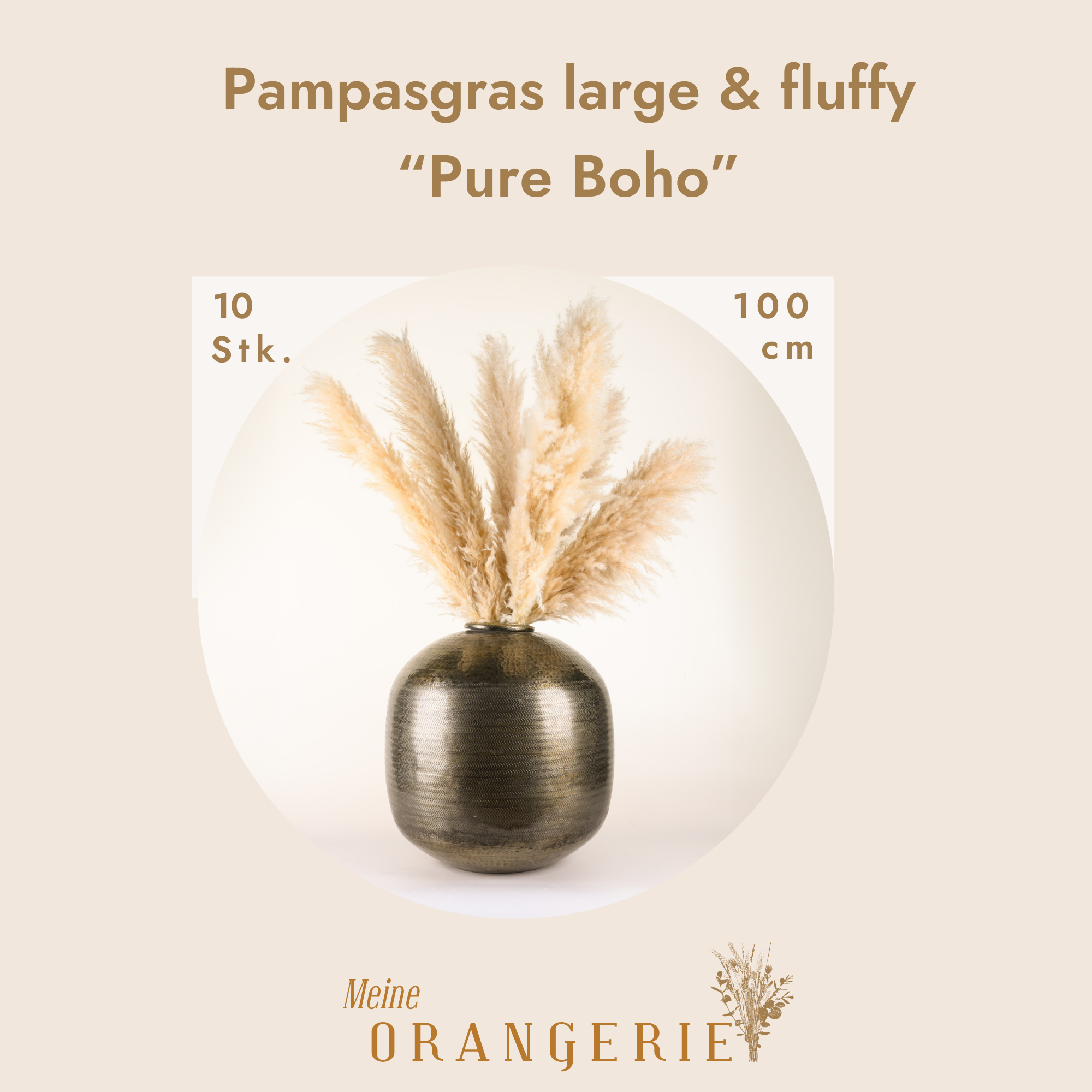 Pampasgras "Pure Boho" - 10 Stiele im Set (large & fluffy 100 cm)