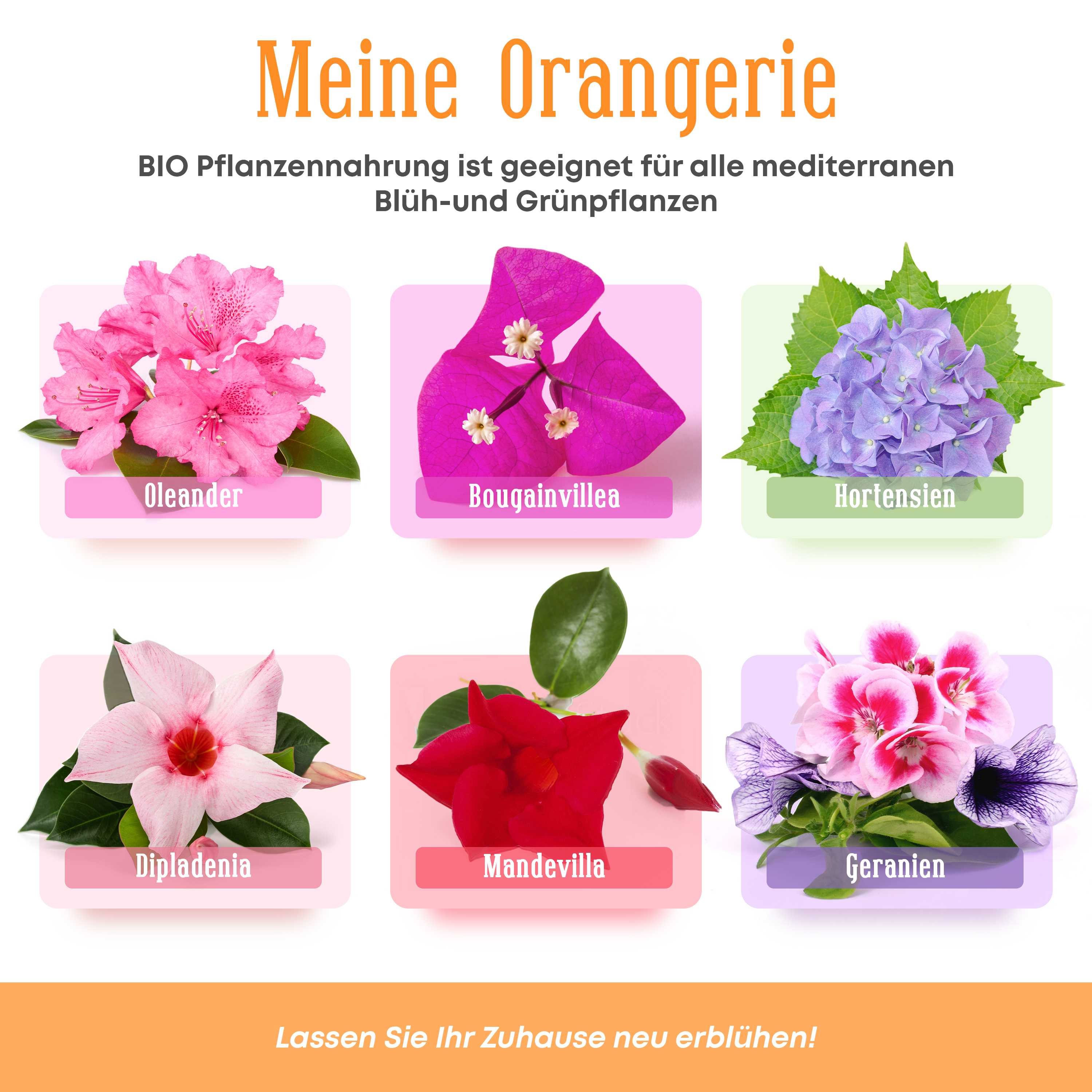 Meine Orangerie - BIO-Pflanzennahrung - veganer Flüssigdünger für mediterrane Pflanzen
