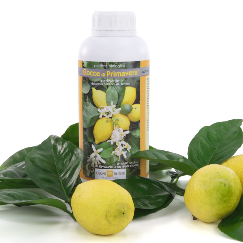 Bio-Zitrusdünger 'Gocce di Primavera' [1 kg]