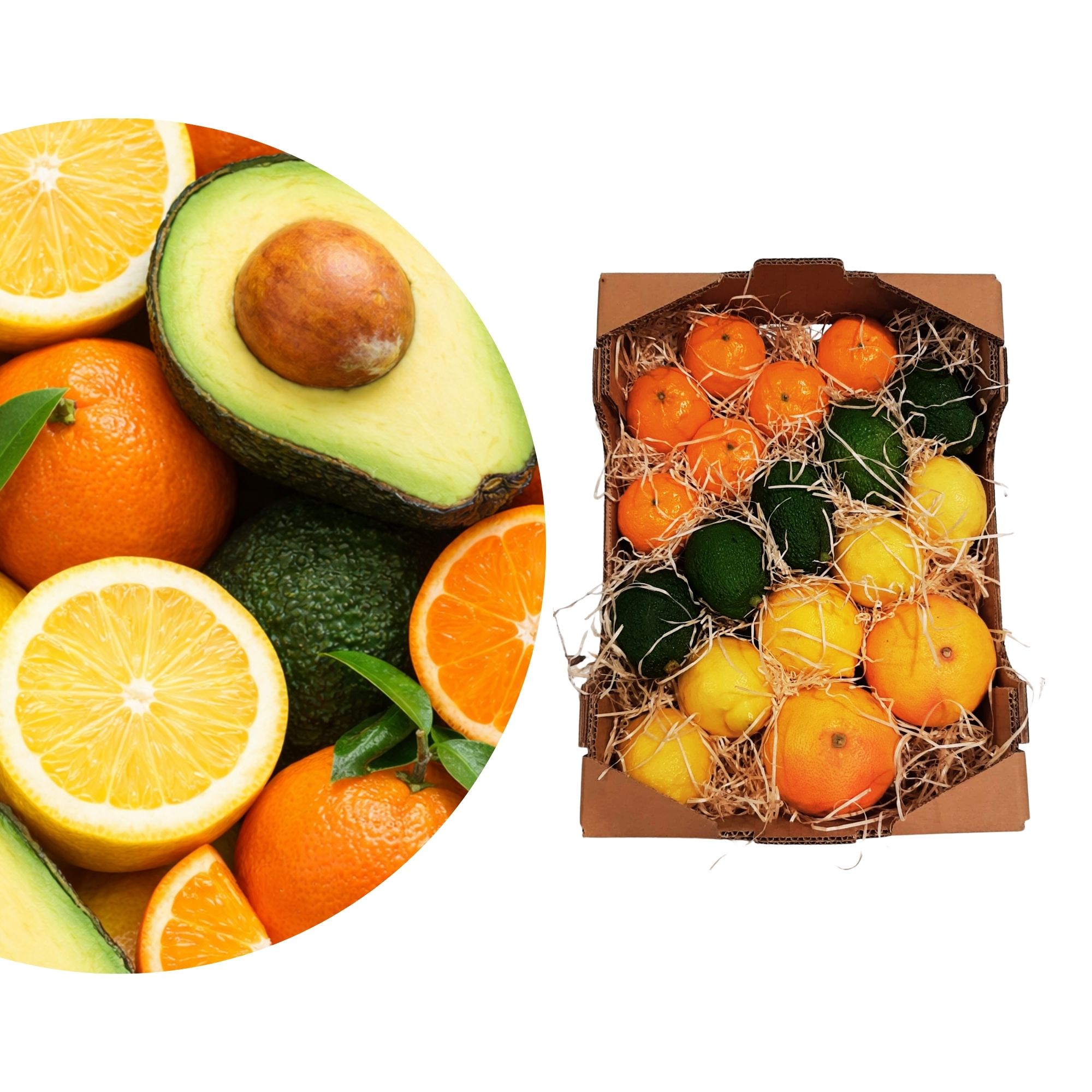 Sizilianischer BIO-Obst Mix - Obstkiste - Bio-Obst Mixkiste - Grapefruits, Avocados, Mandarinen und Zitronen