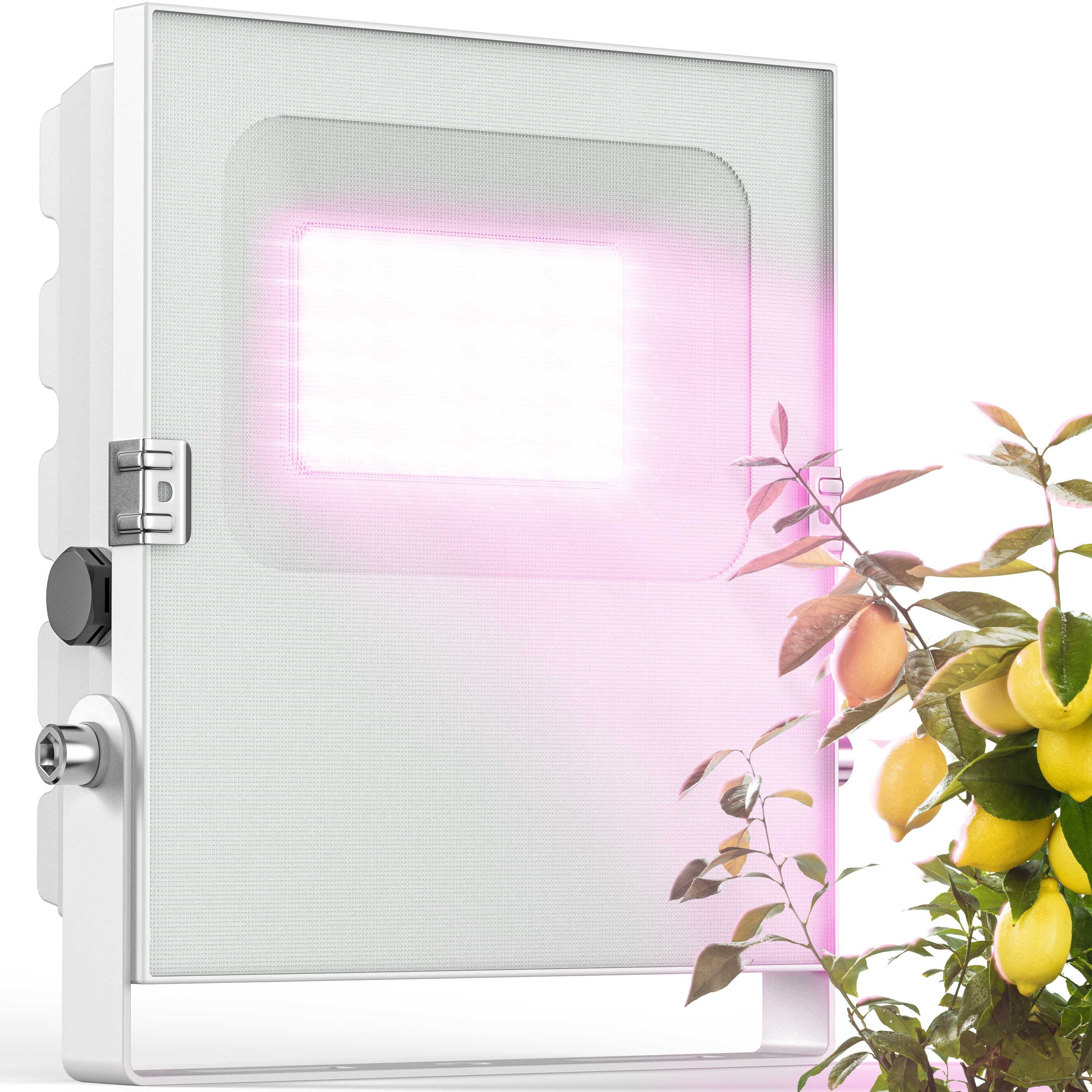 LED-Pflanzenlampe [35W] Vollspektrum: Zitruspflanzen-Überwinterung