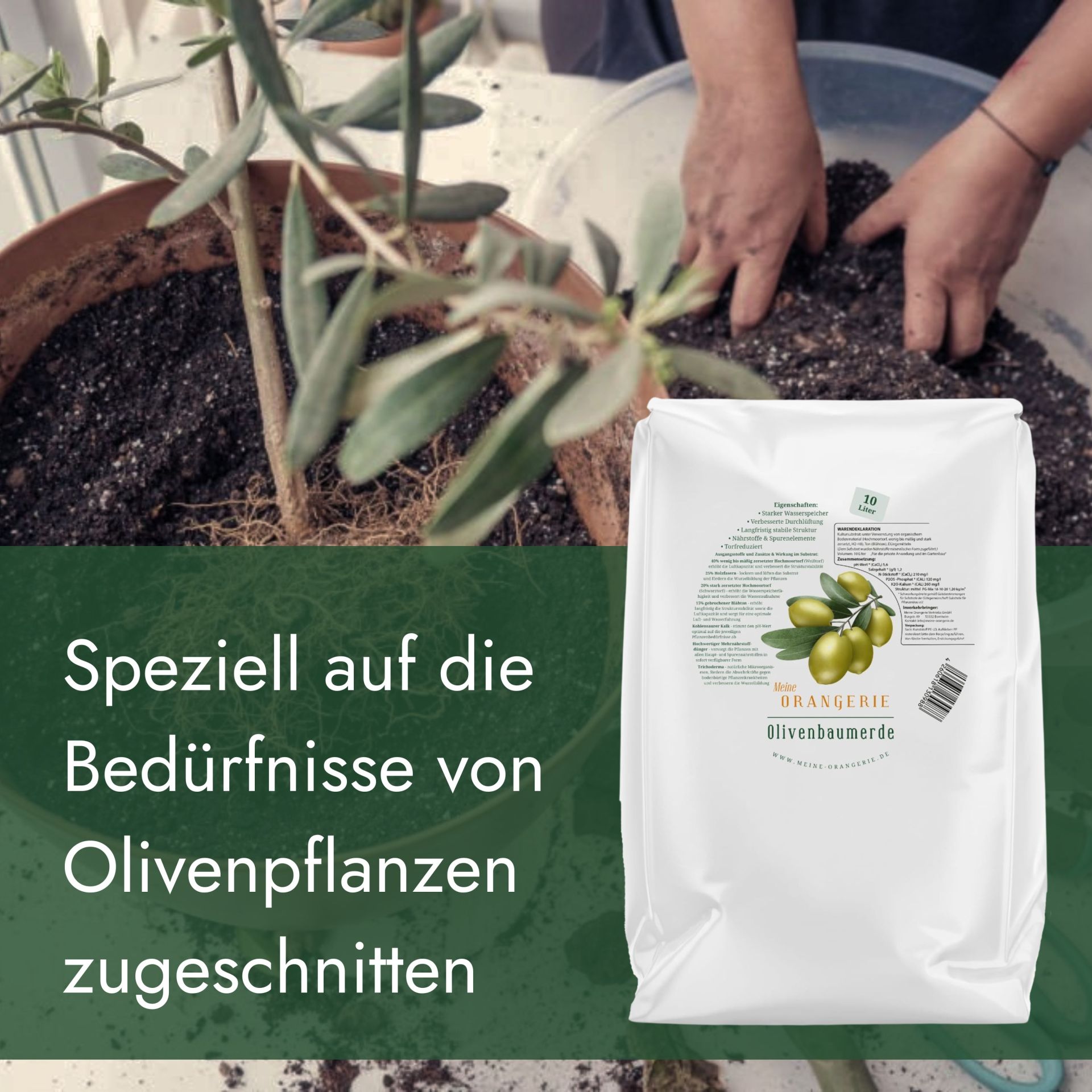 Meine Orangerie Zitruserde online kaufen